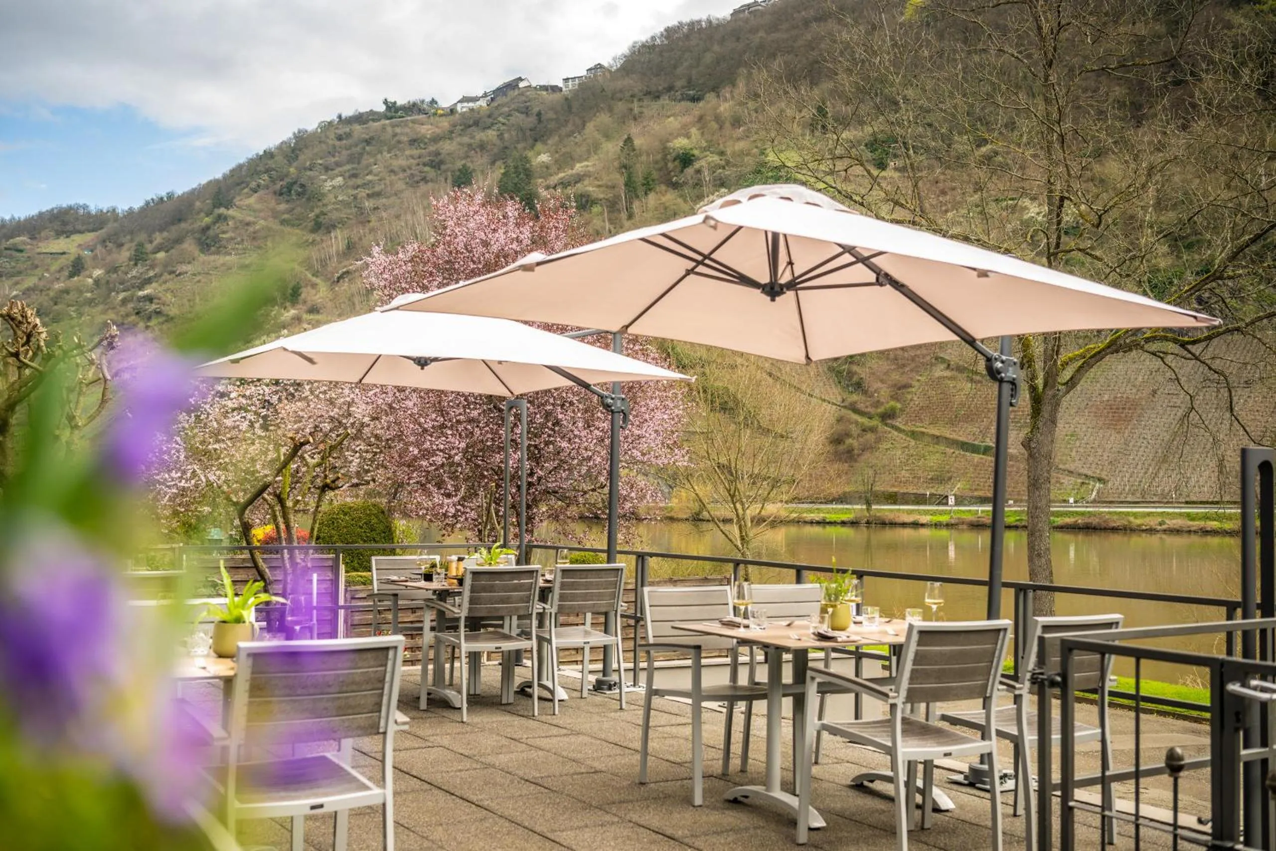 Restaurant/places to eat in Uferdeck - Boutique Hotel