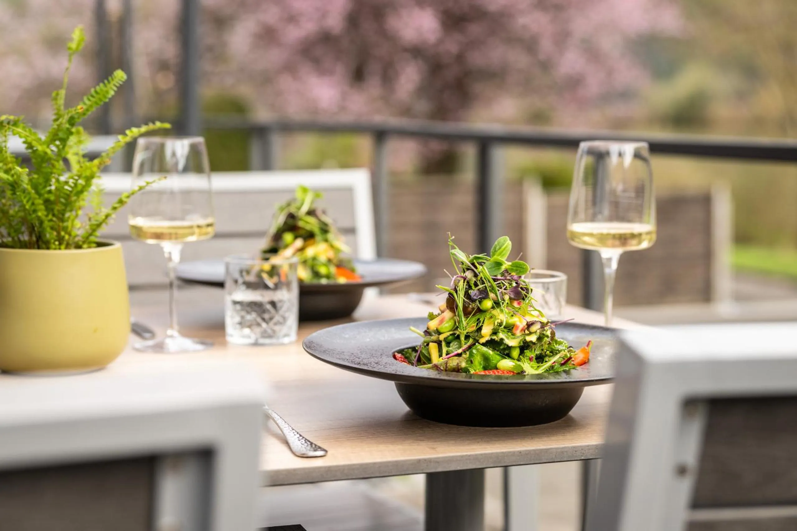 Restaurant/places to eat in Uferdeck - Boutique Hotel