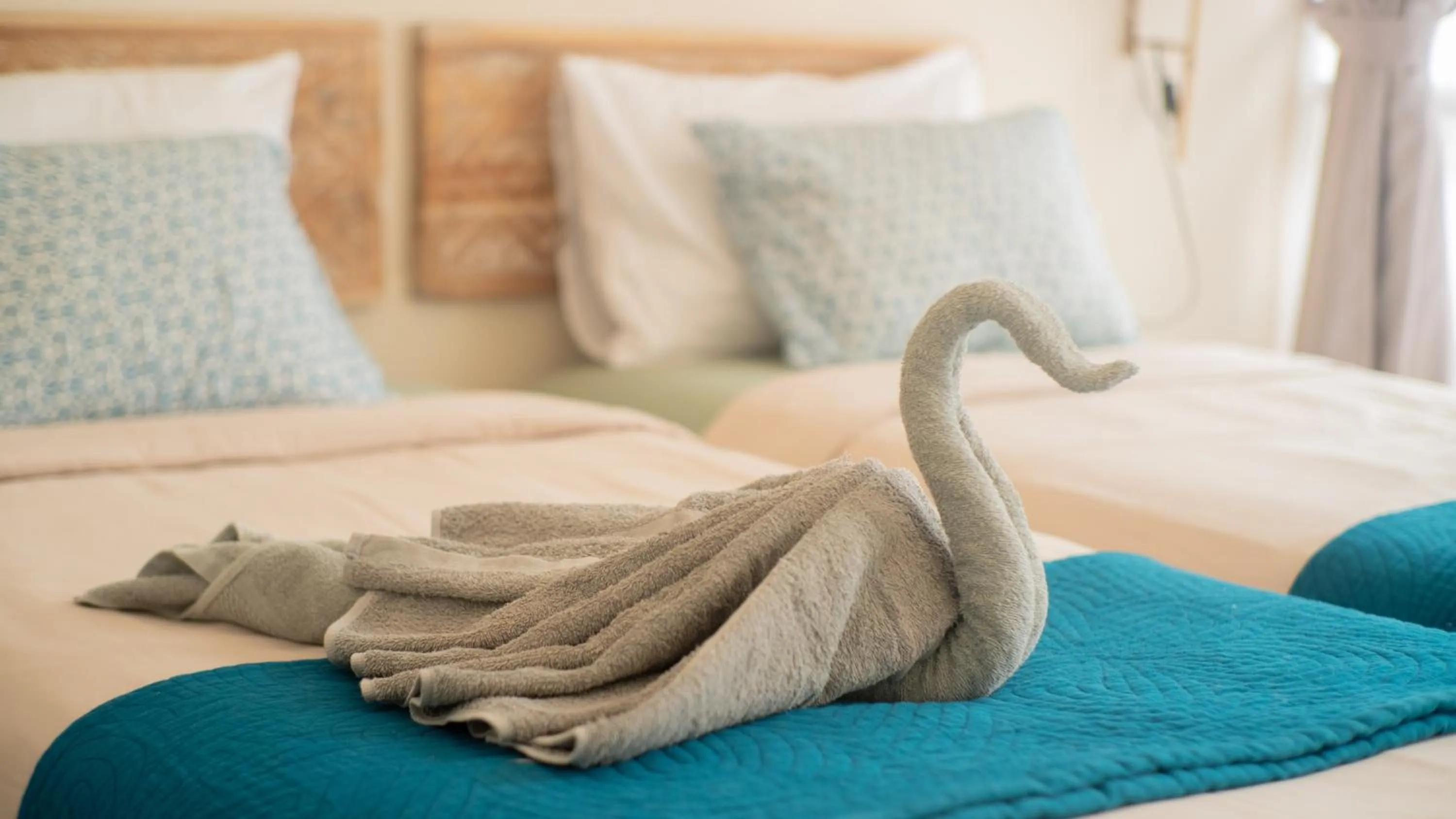 Bed in The White Bay