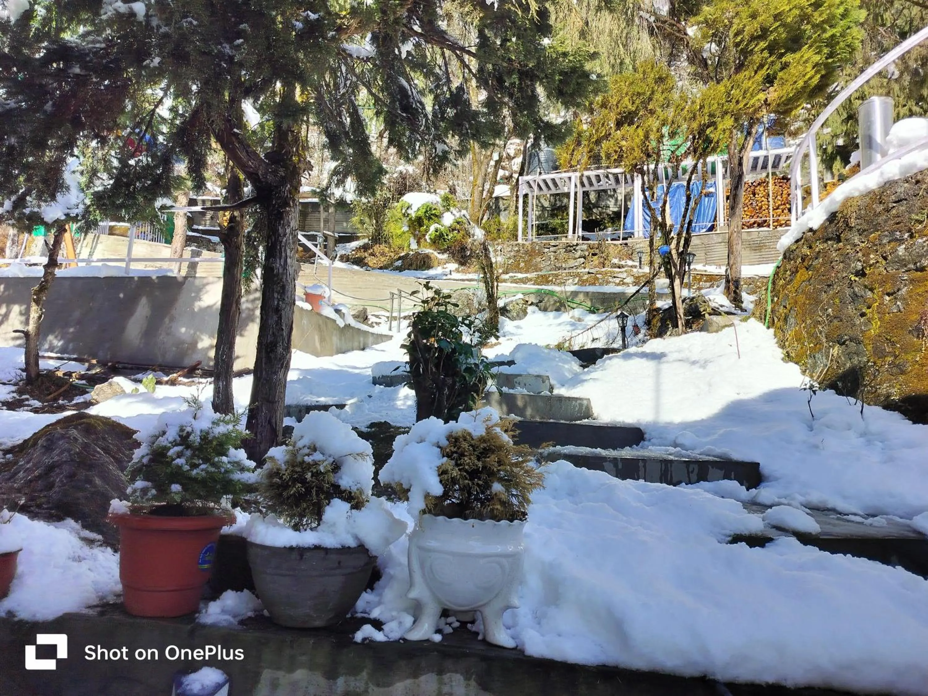 Property building in Apple Valley Cottages Lachung