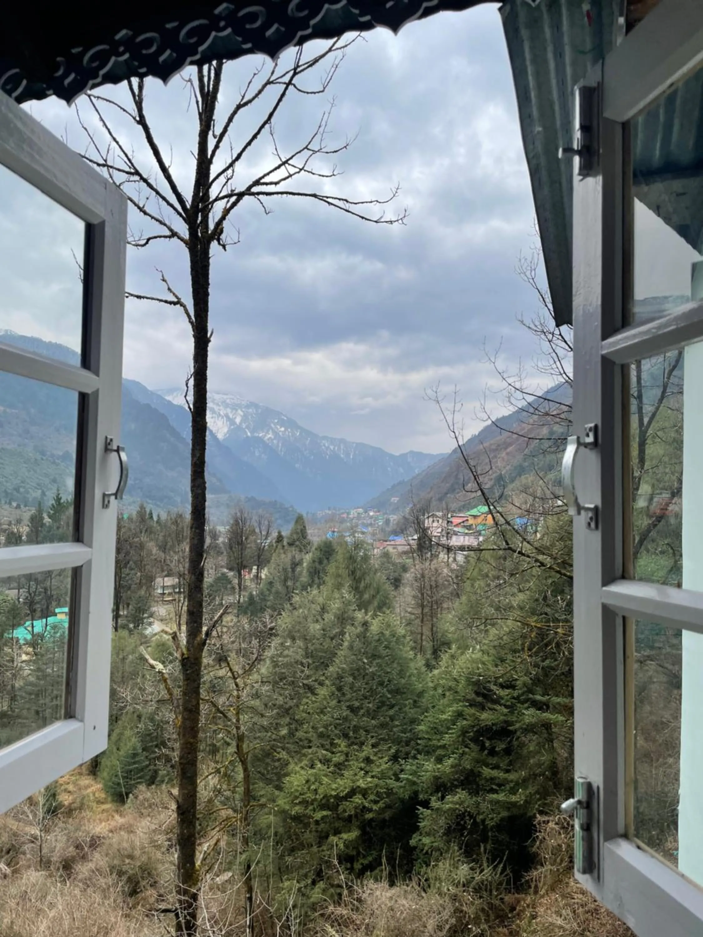 View (from property/room) in Apple Valley Cottages Lachung
