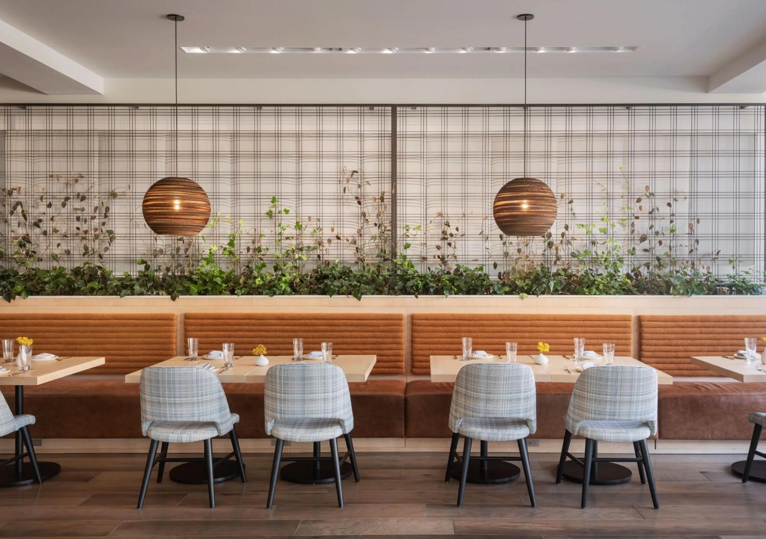 Restaurant/places to eat in Hotel Verdant