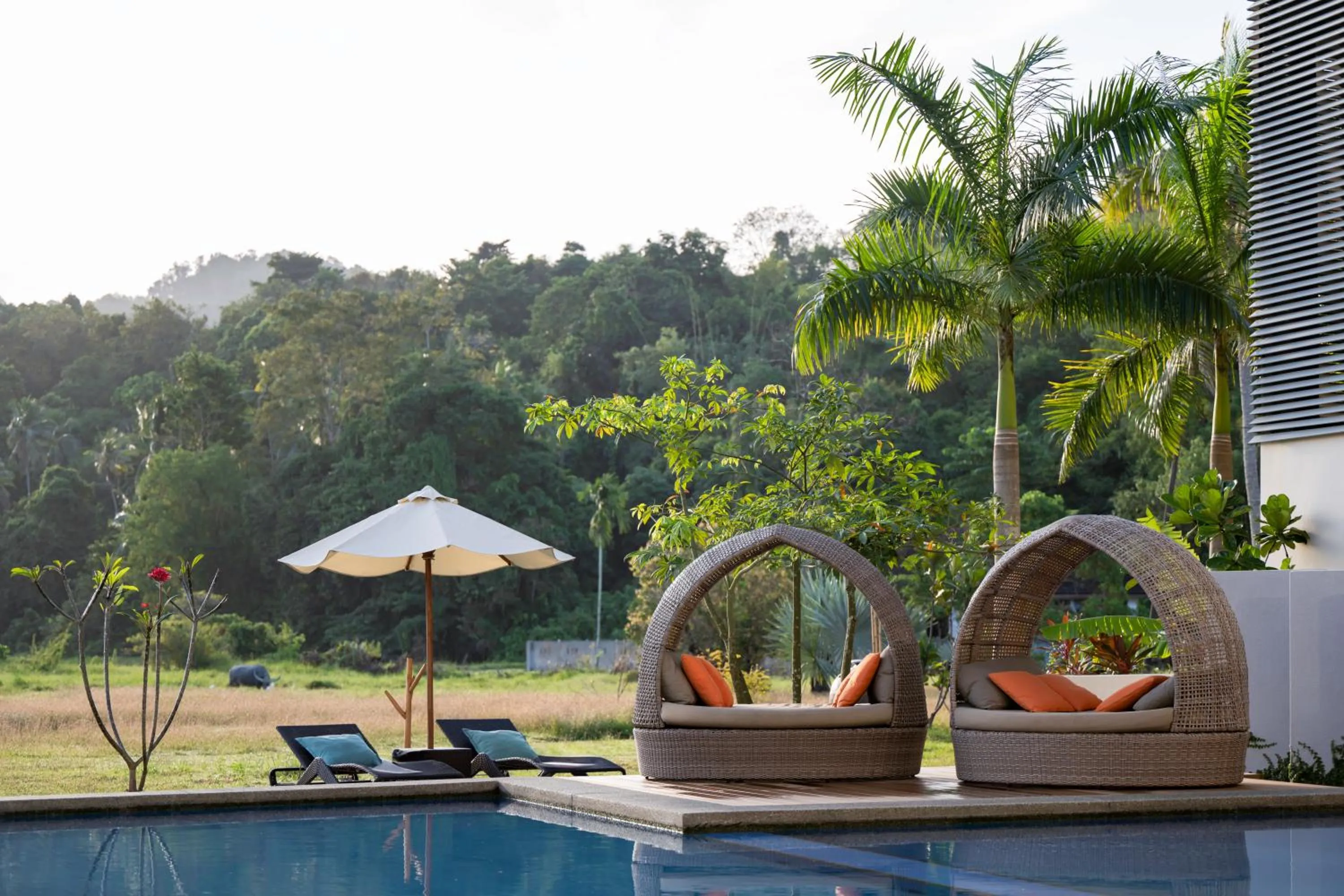 Pool view in The Bayou Hotel Langkawi