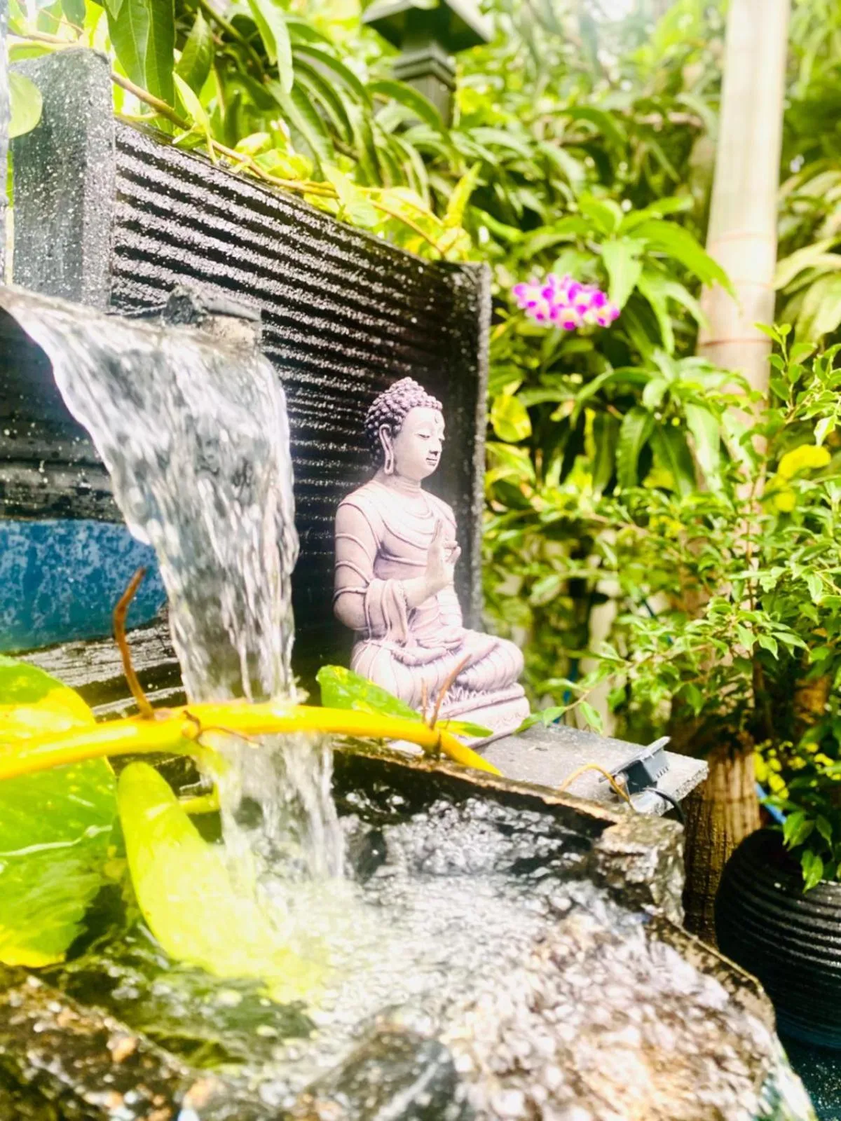 Garden in Airport Faith Hotel