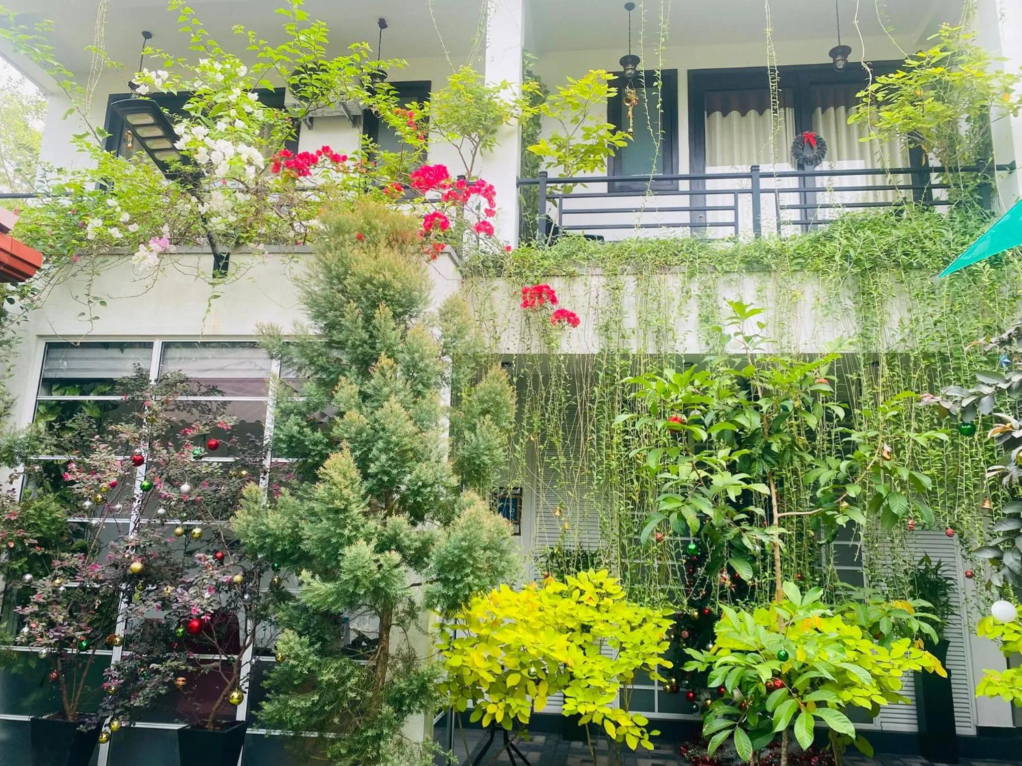 Garden in Airport Faith Hotel