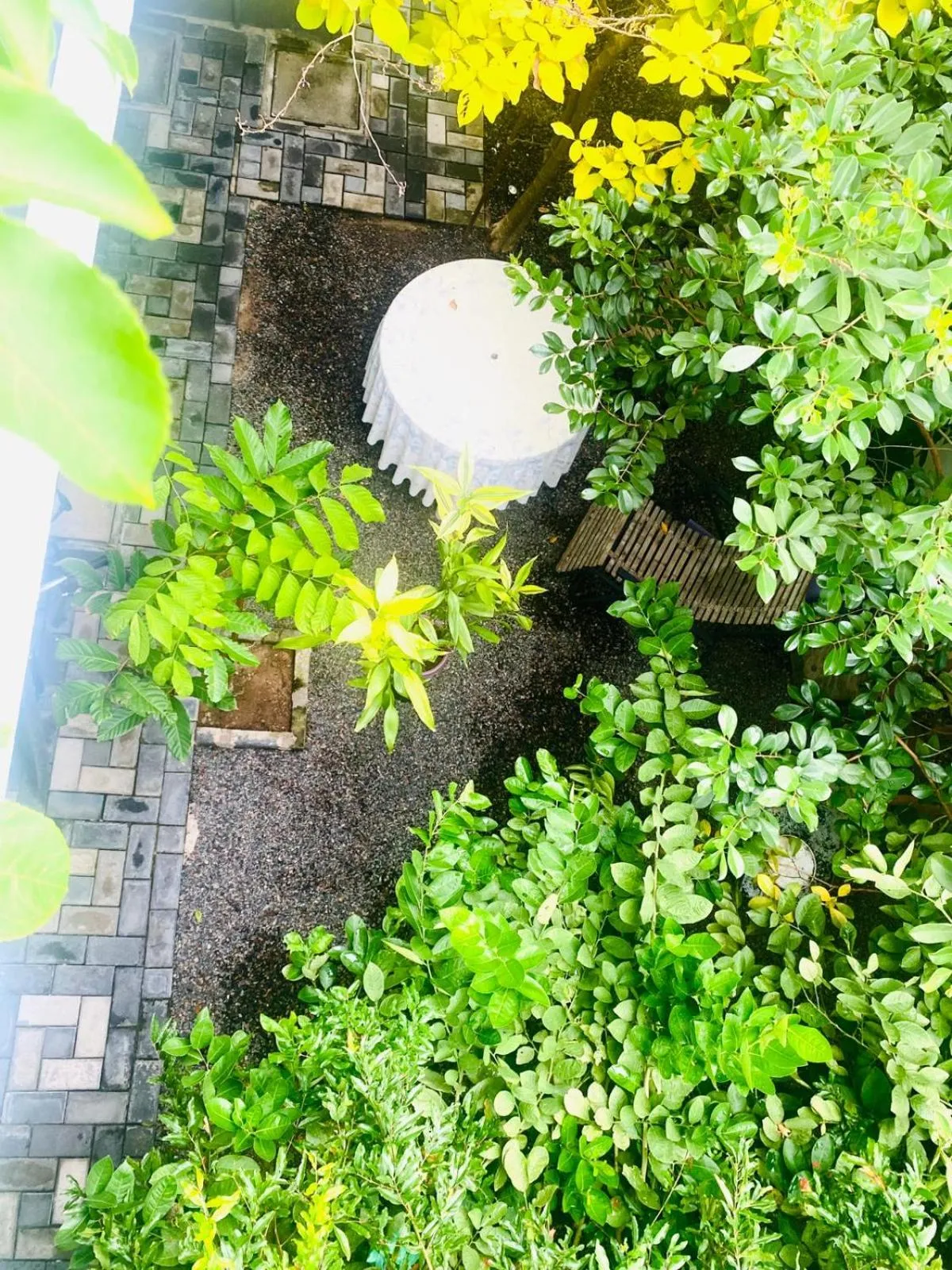 Garden in Airport Faith Hotel