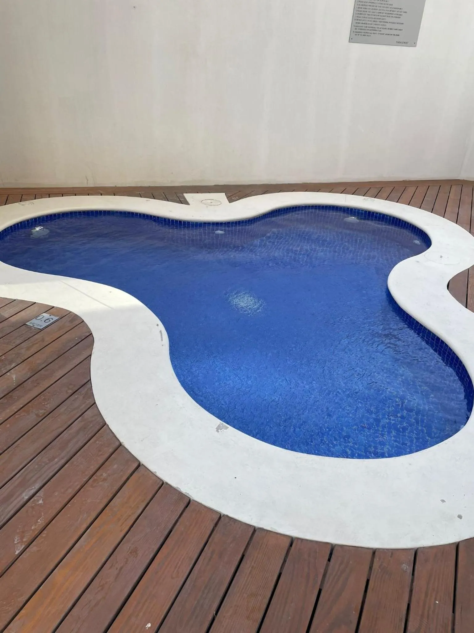 Swimming pool in Modern Heights