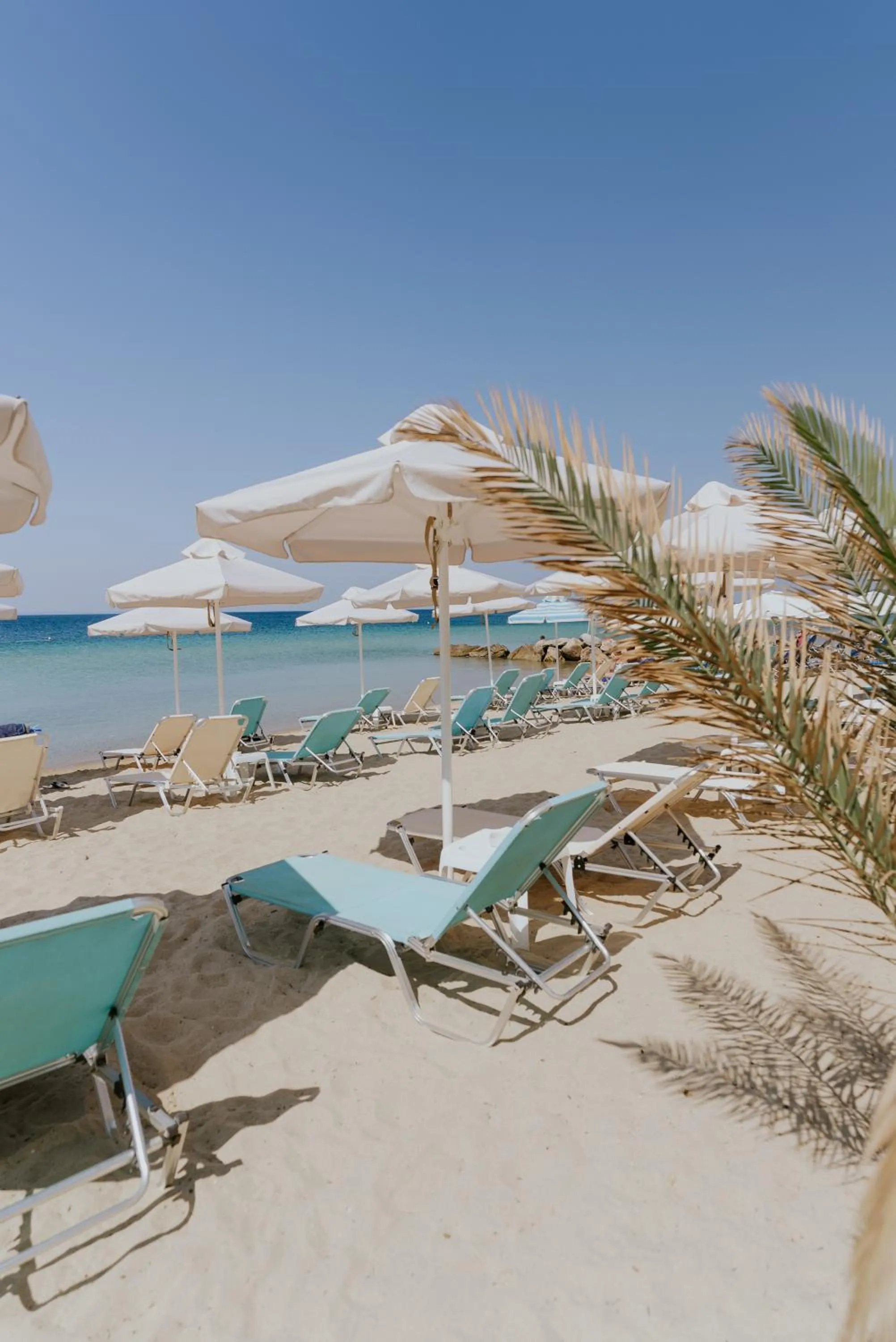 Natural landscape in Xenios Zeus