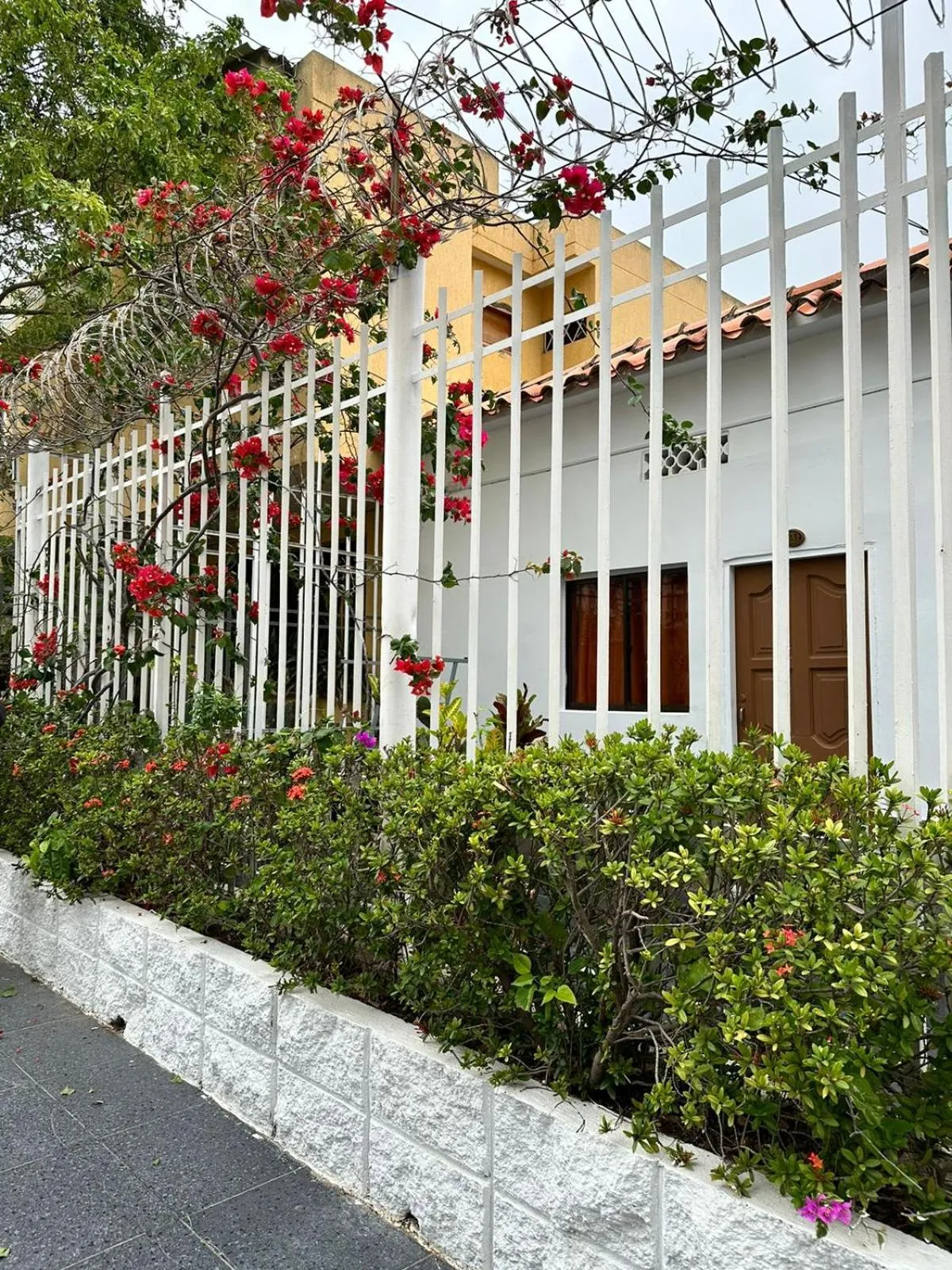 Garden in SGH hotel Mathilu Rodadero