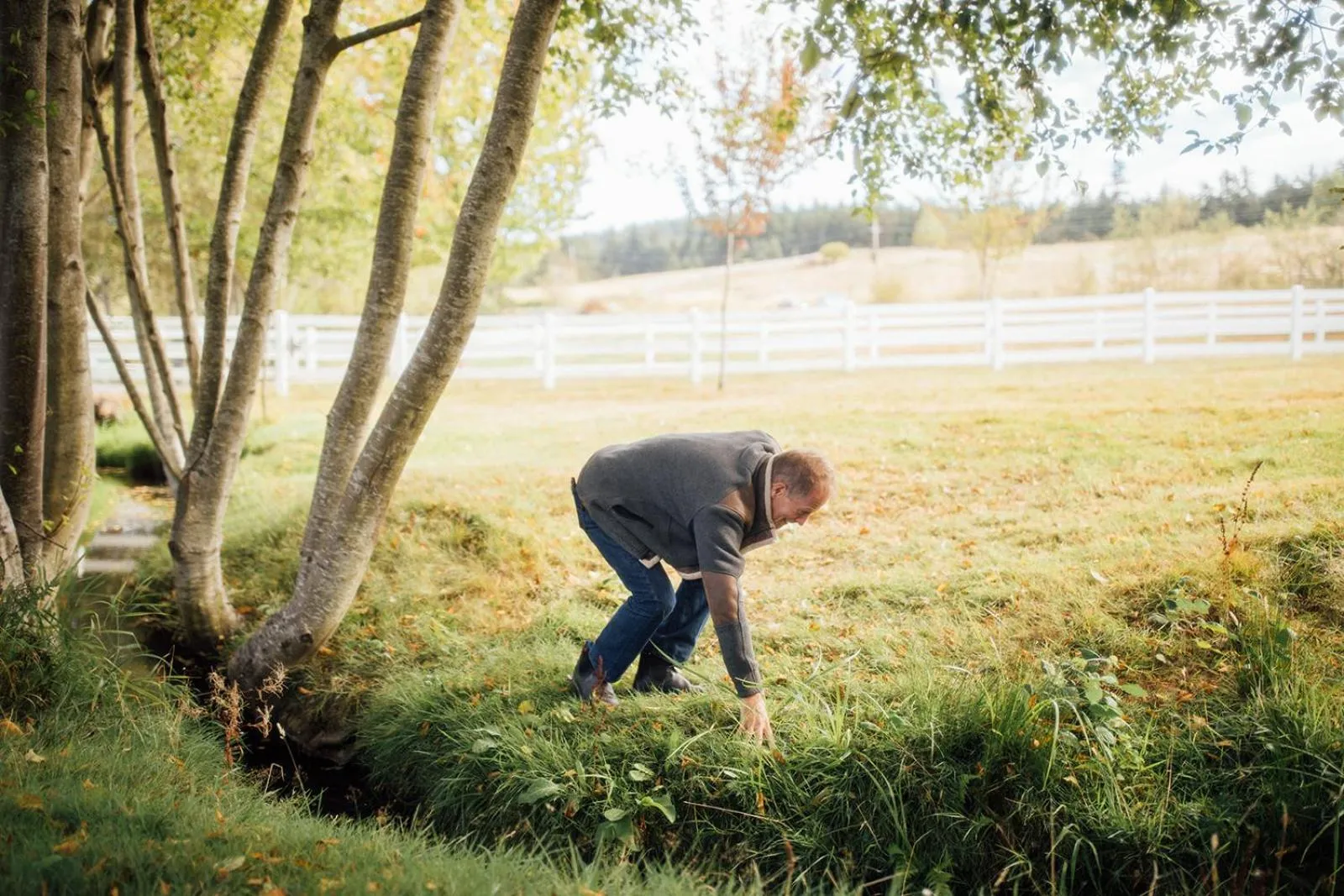 Natural landscape in Saturn's Return