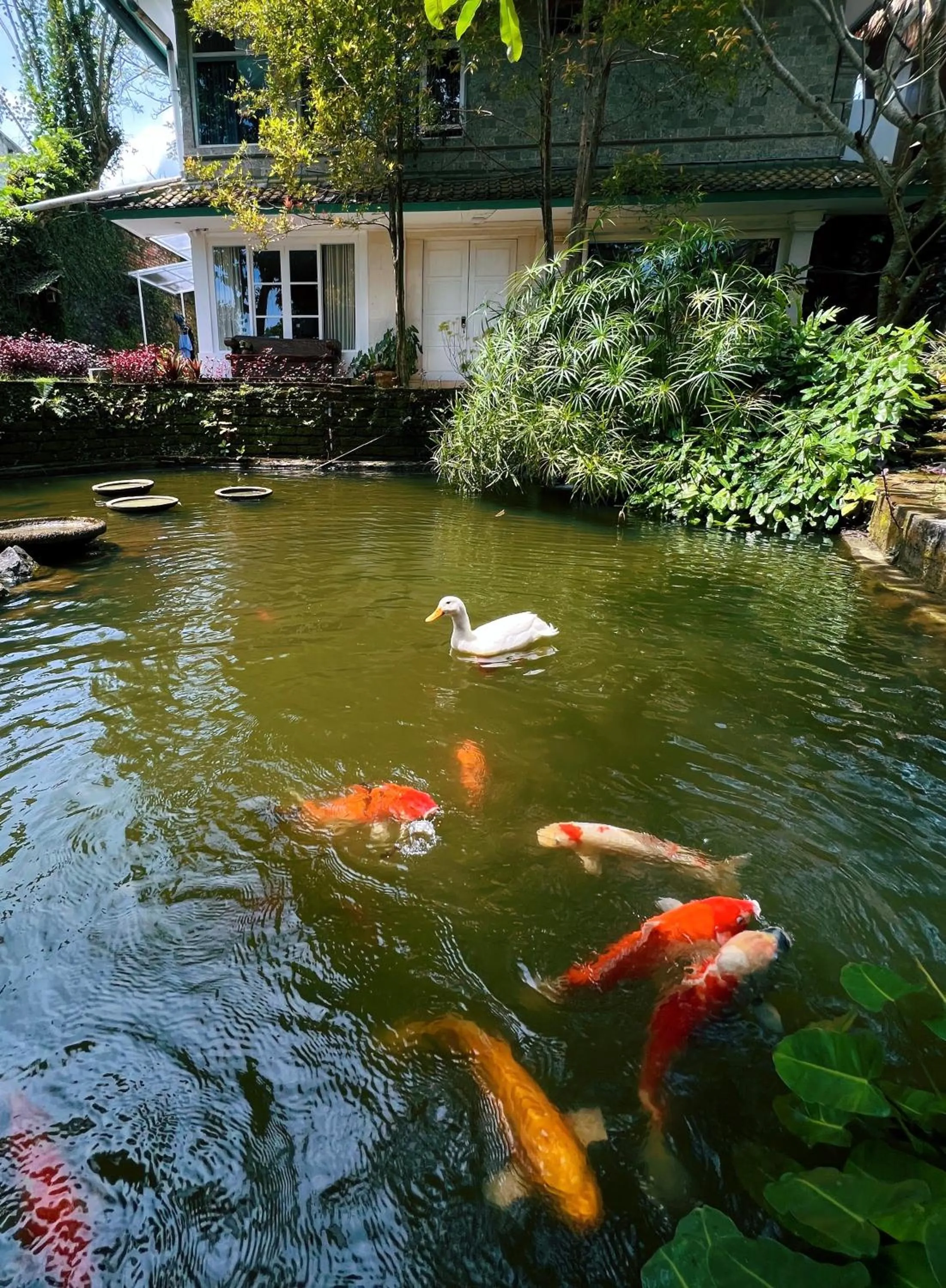 Lake view in Villa Neshama