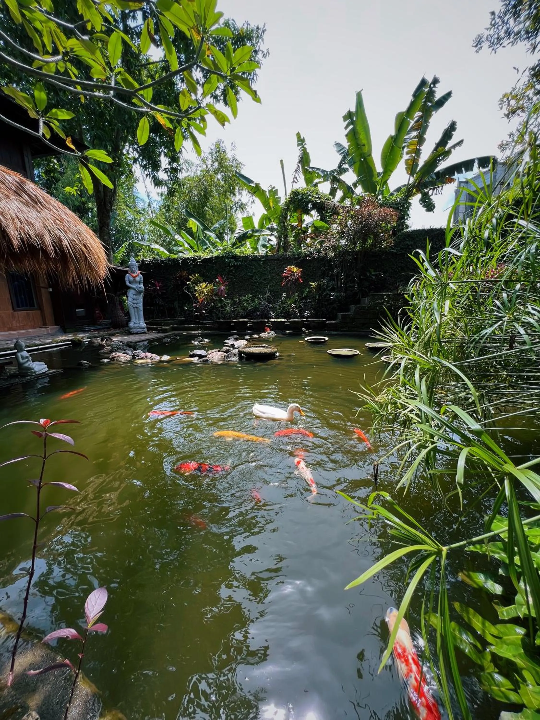 Lake view in Villa Neshama