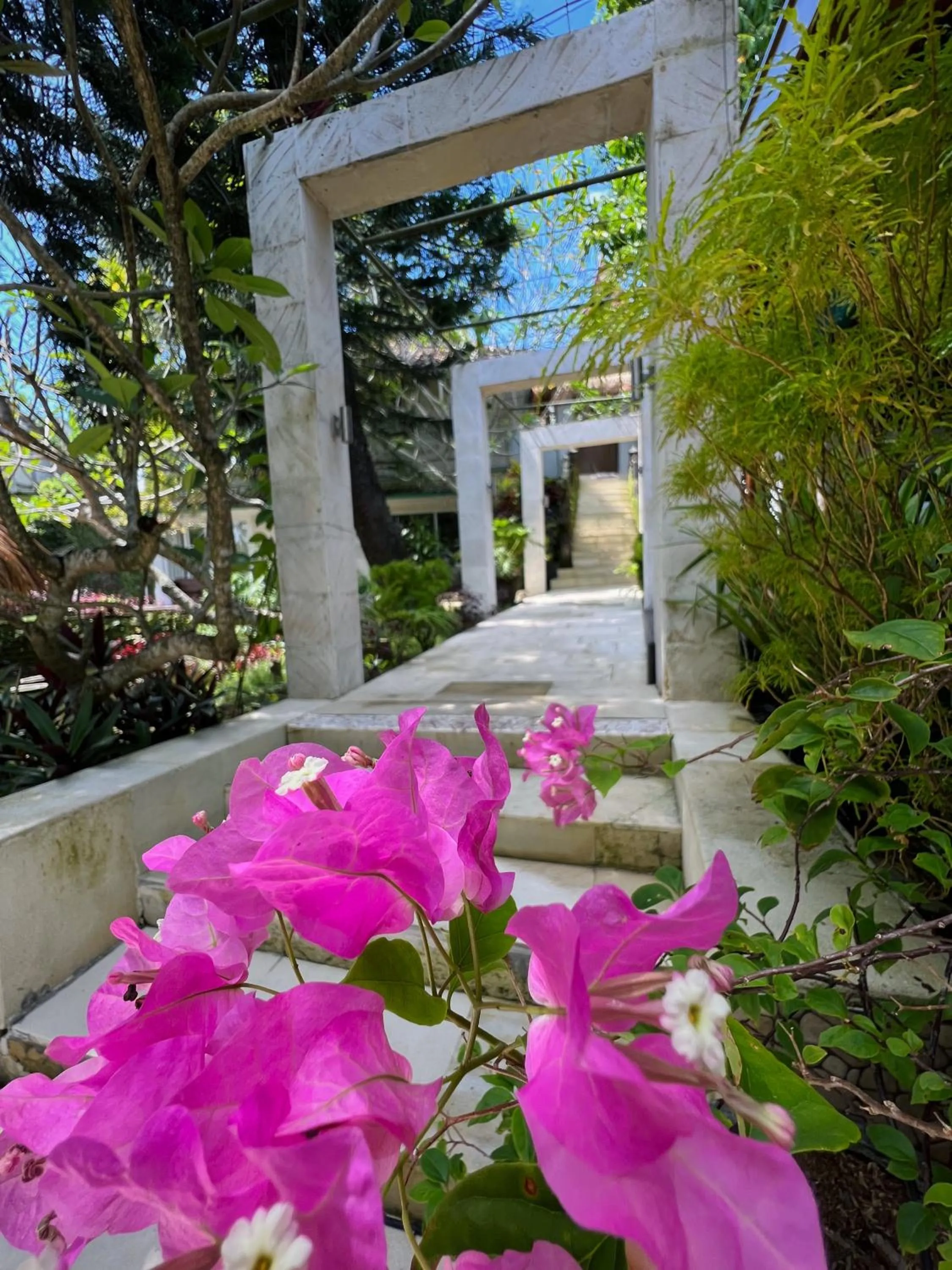 Garden in Villa Neshama