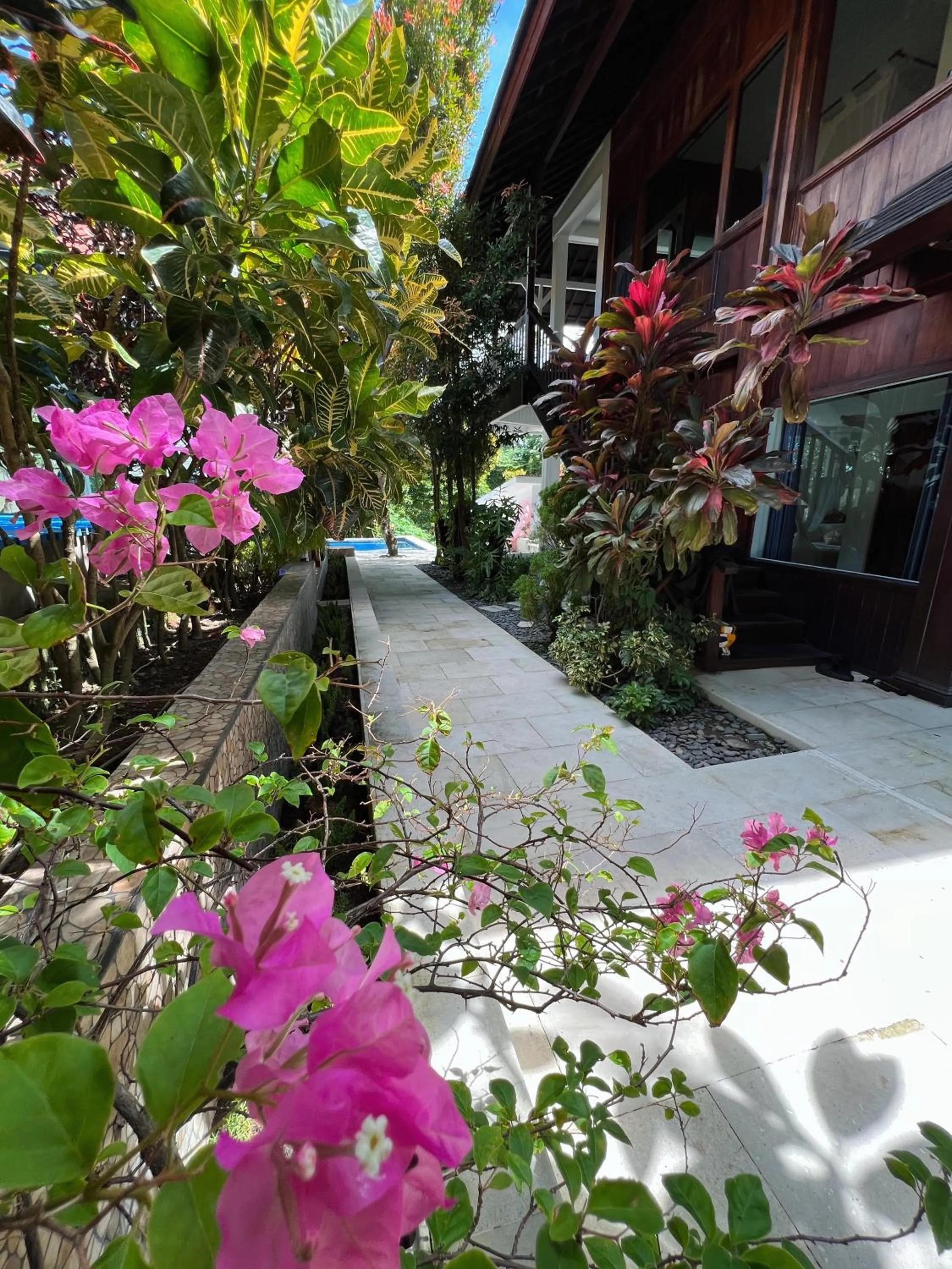 Garden in Villa Neshama