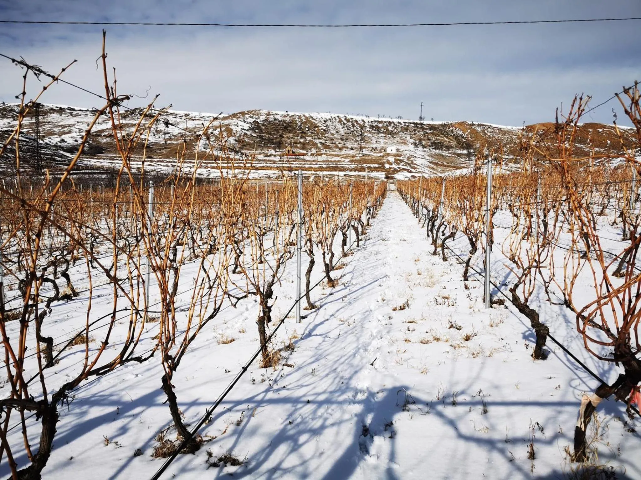Natural landscape in Chateau Ateni Cottages