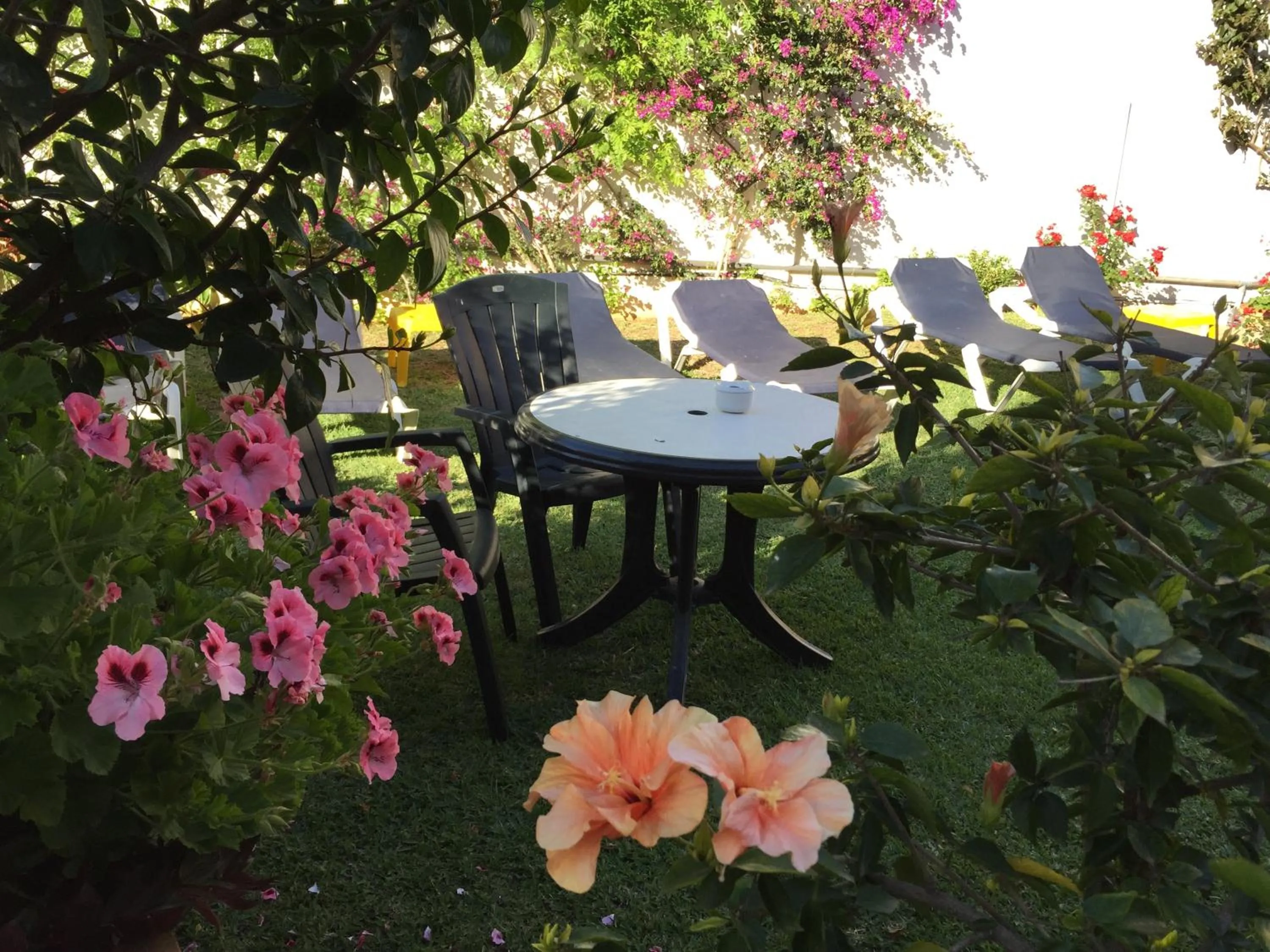 Garden in Hotel Carmen Teresa