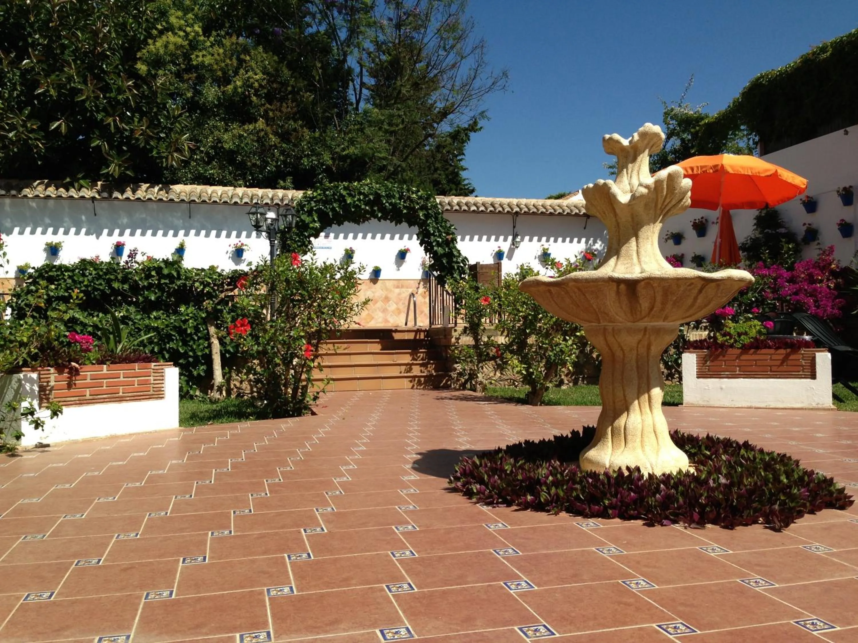 Garden in Hotel Carmen Teresa