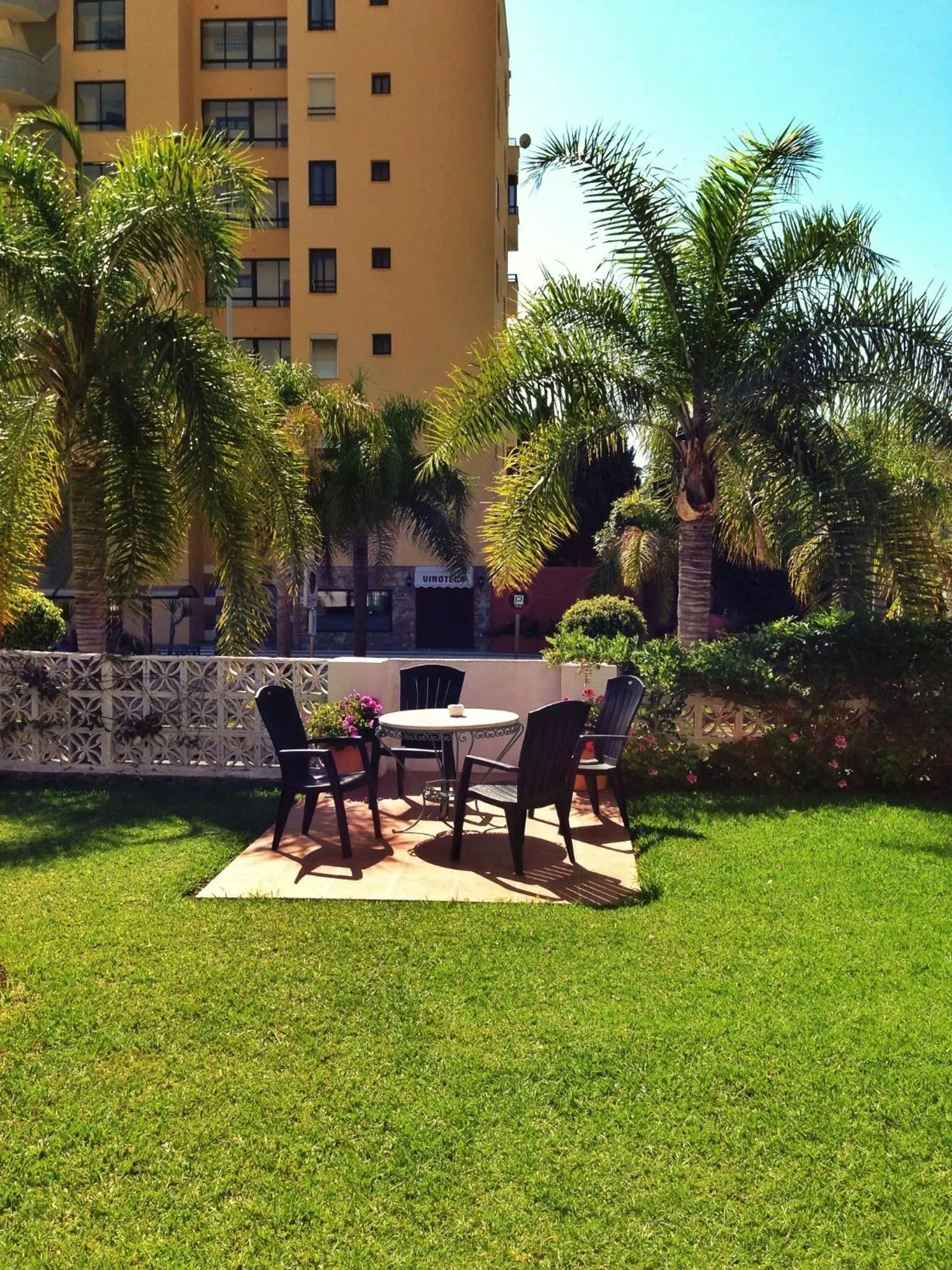 Garden in Hotel Carmen Teresa