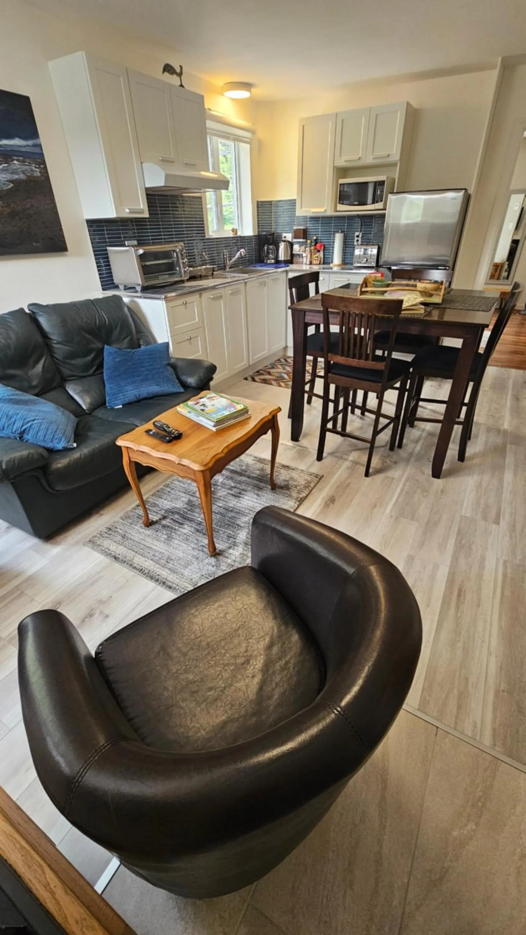 TV and multimedia in Séjour Flèche du fjord vue Saguenay Mont Valin