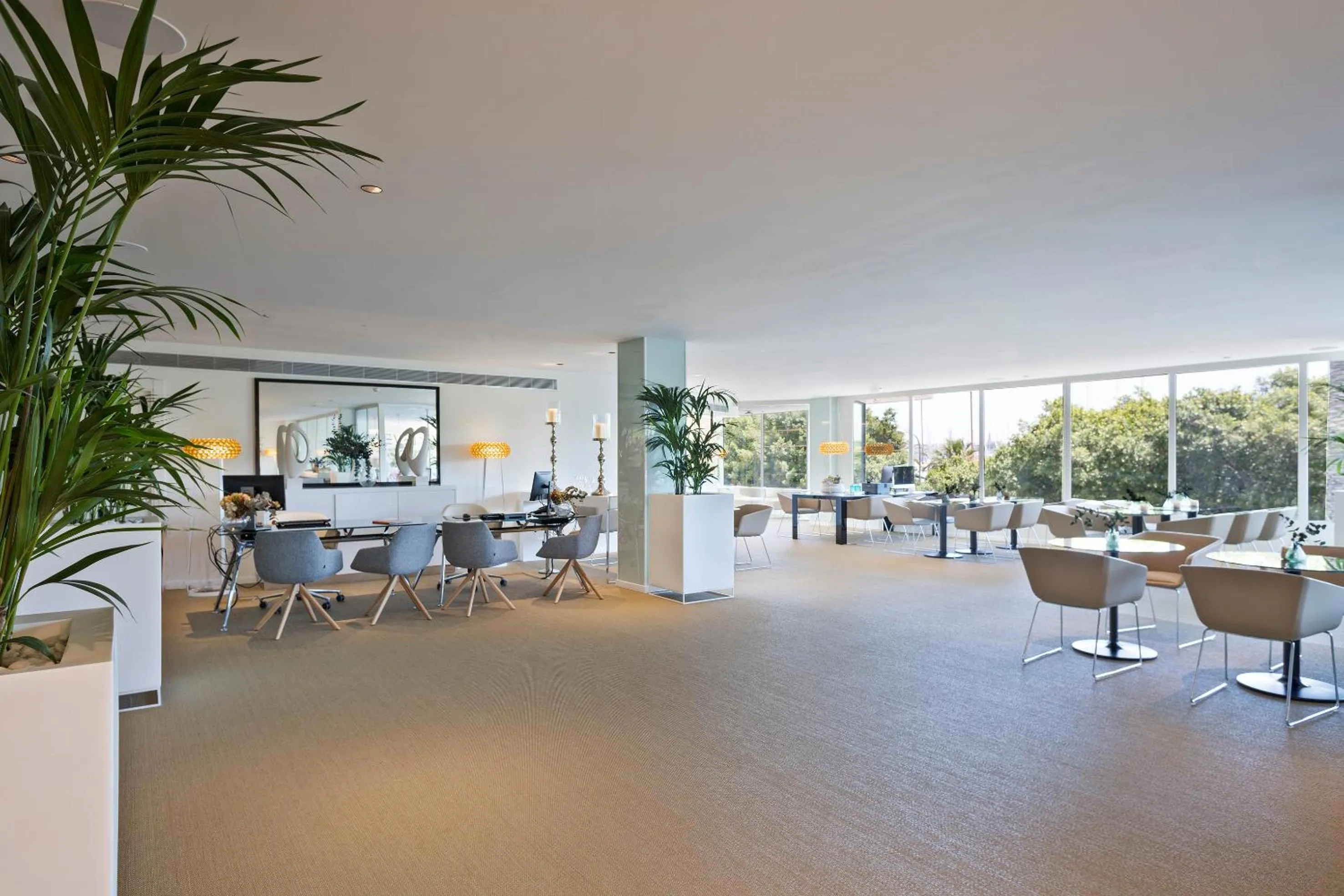 Area and facilities in Meliá Palma Marina