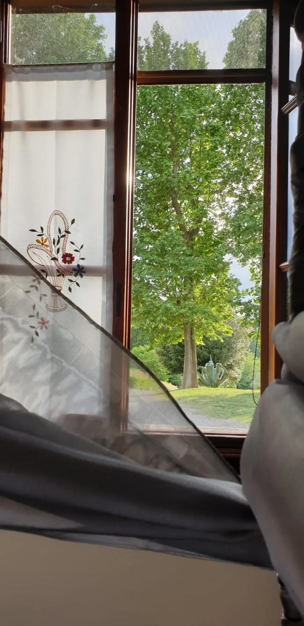 Garden in Villa Bruna