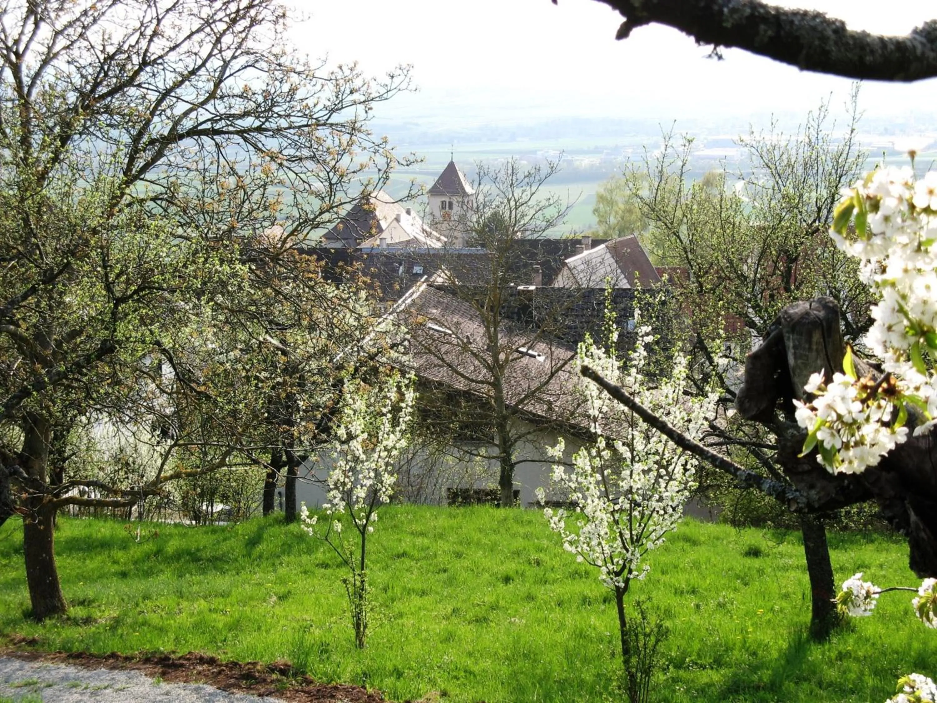 Day in Hotel & Restaurant Kaiser Superior