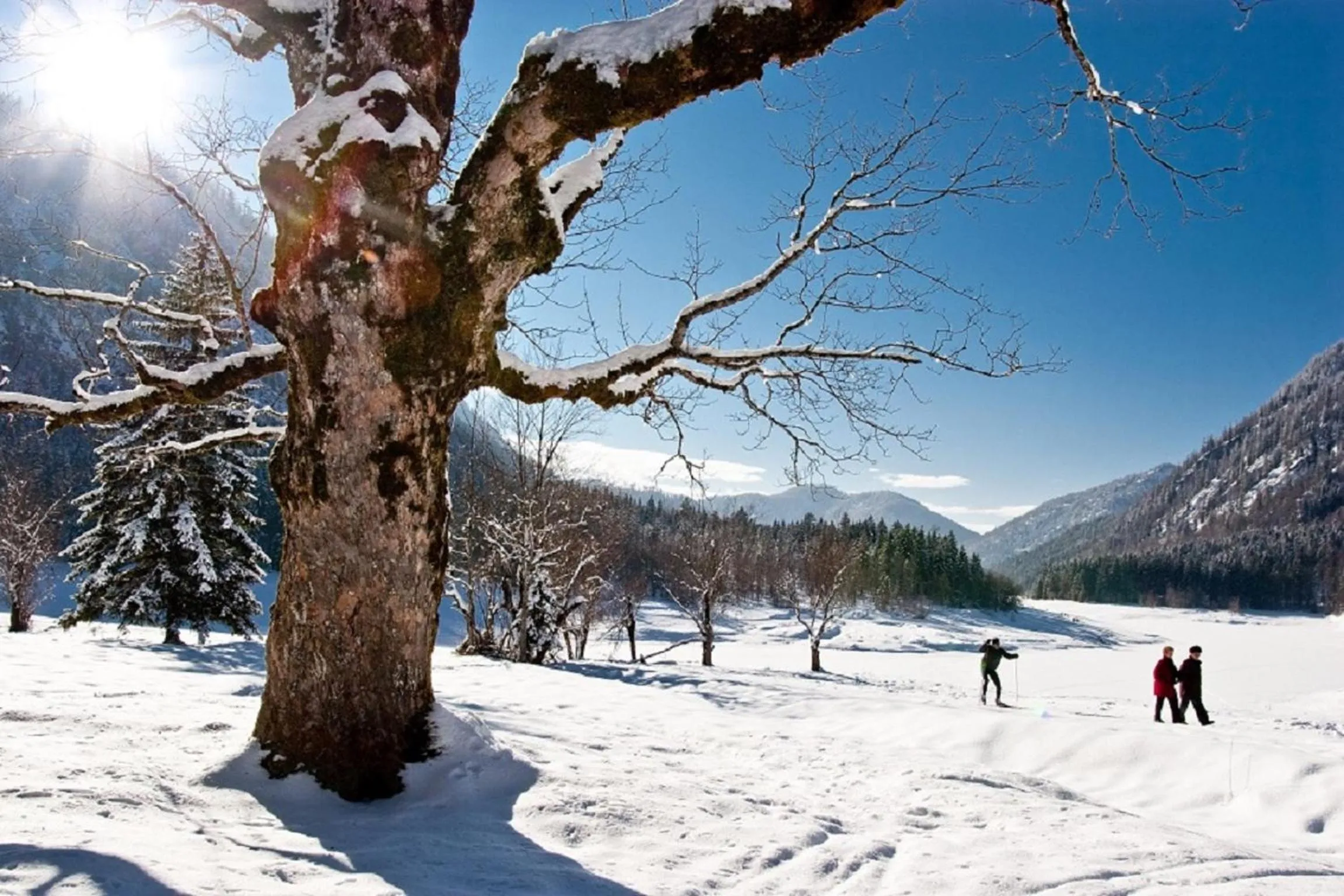 Ski School in Landhotel Maiergschwendt inkl Chiemgaukarte
