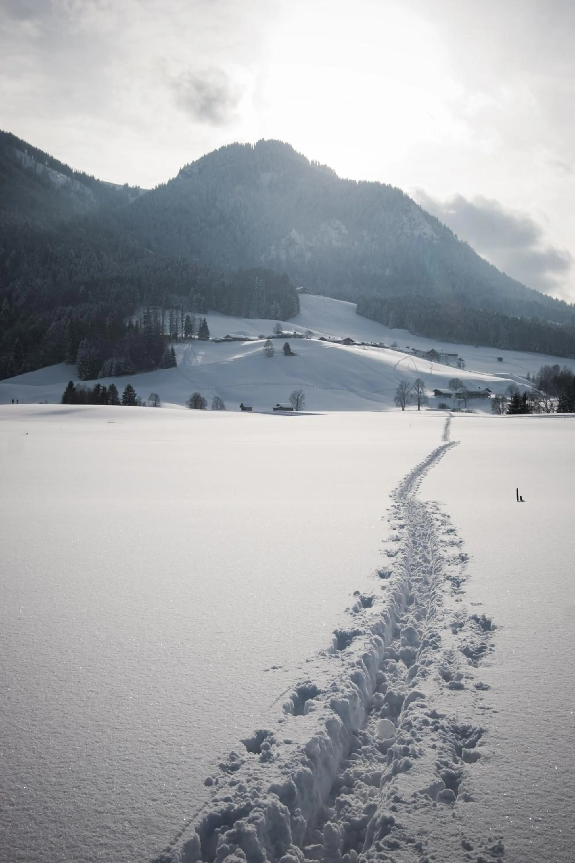 Ski School in Landhotel Maiergschwendt inkl Chiemgaukarte