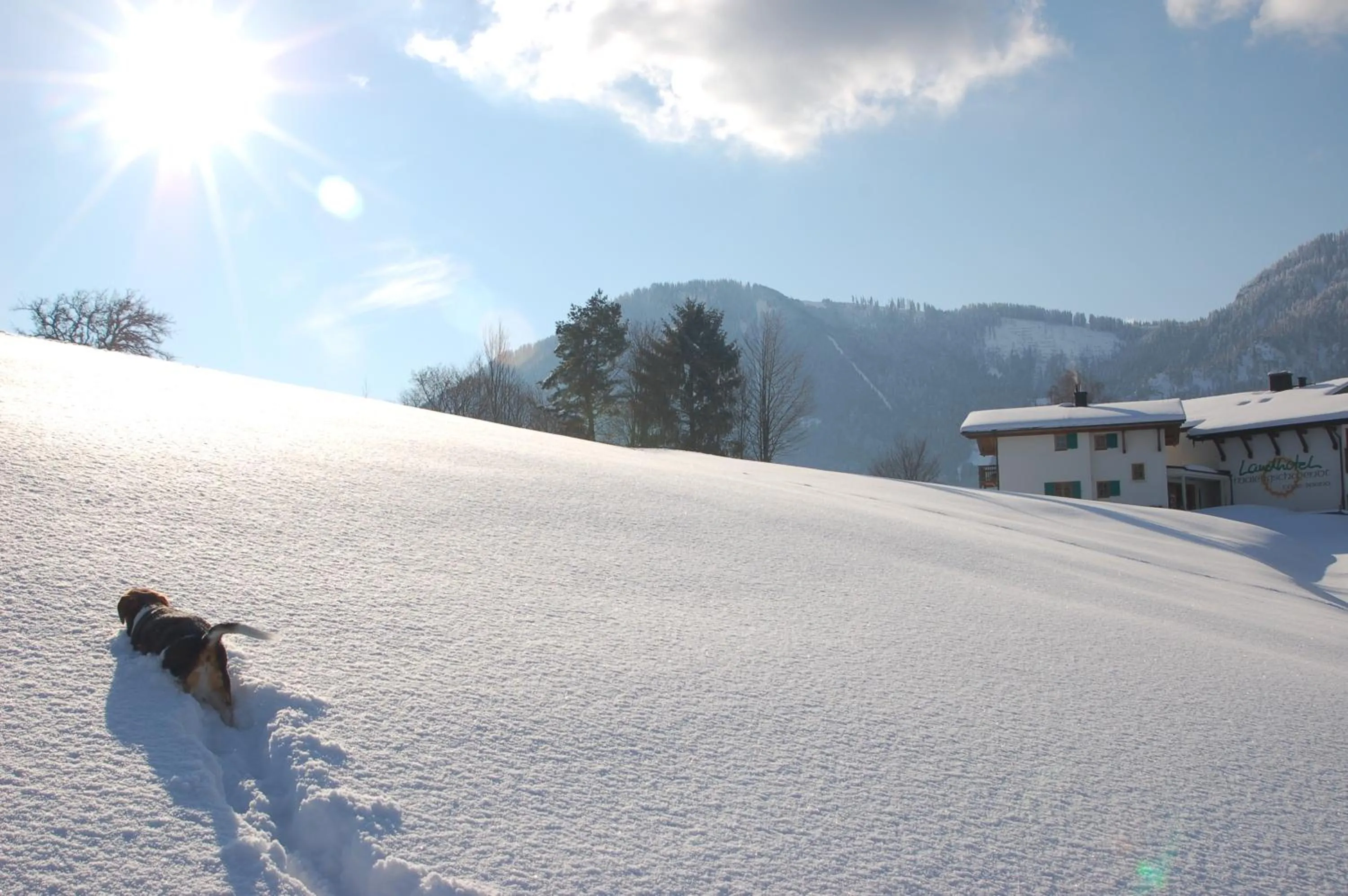 Facade/entrance in Landhotel Maiergschwendt inkl Chiemgaukarte