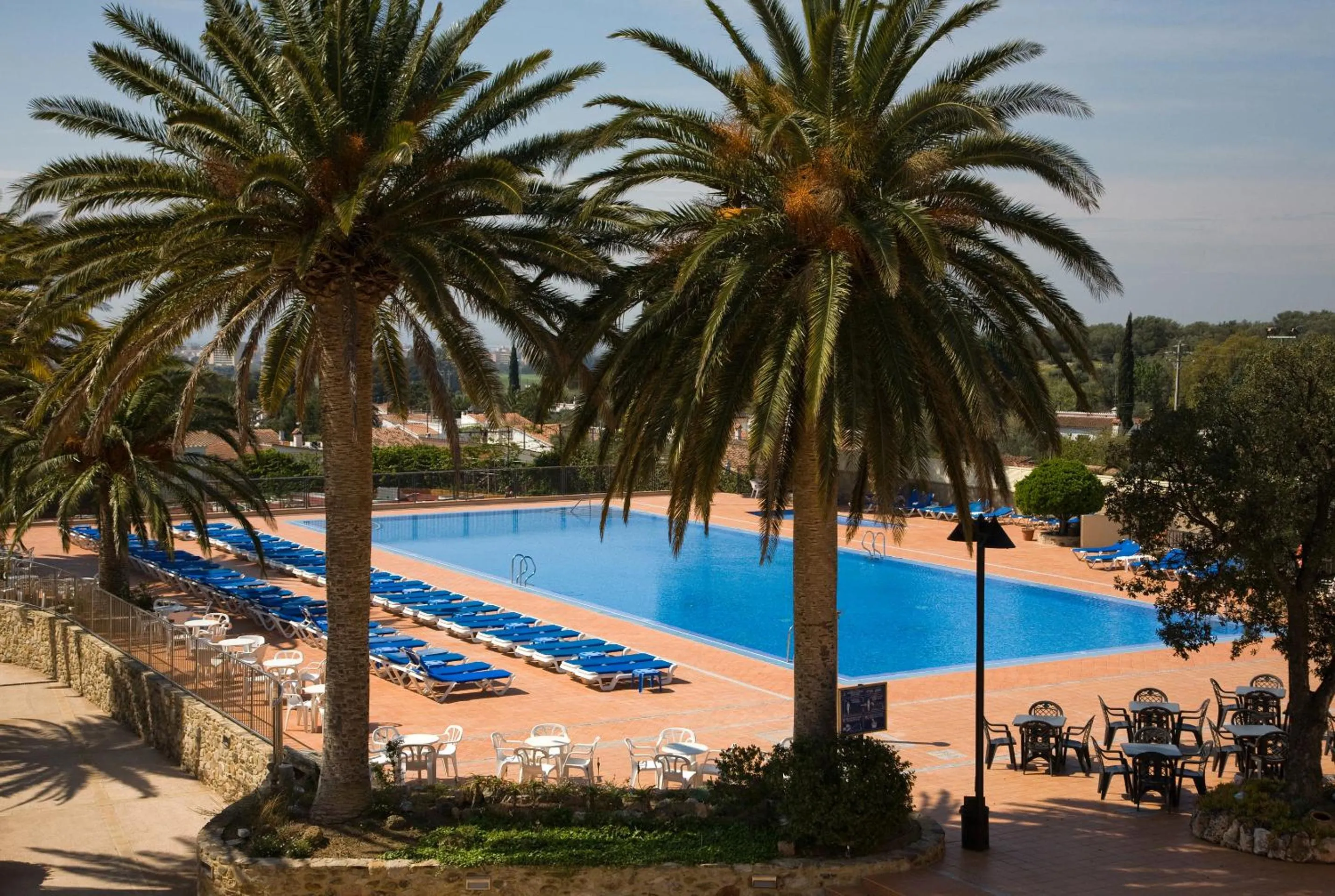 Garden in Hotel San Carlos