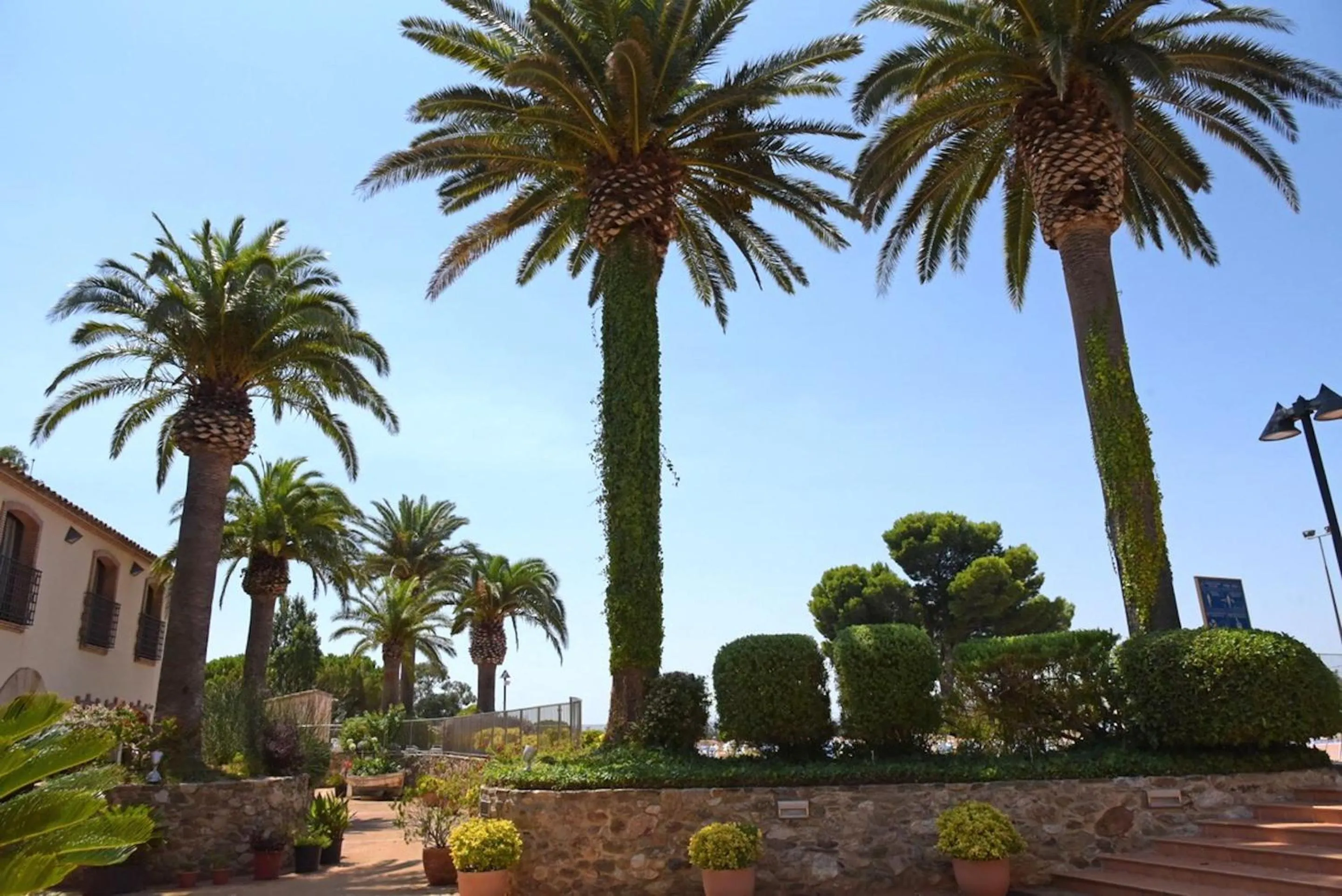 Garden in Hotel San Carlos