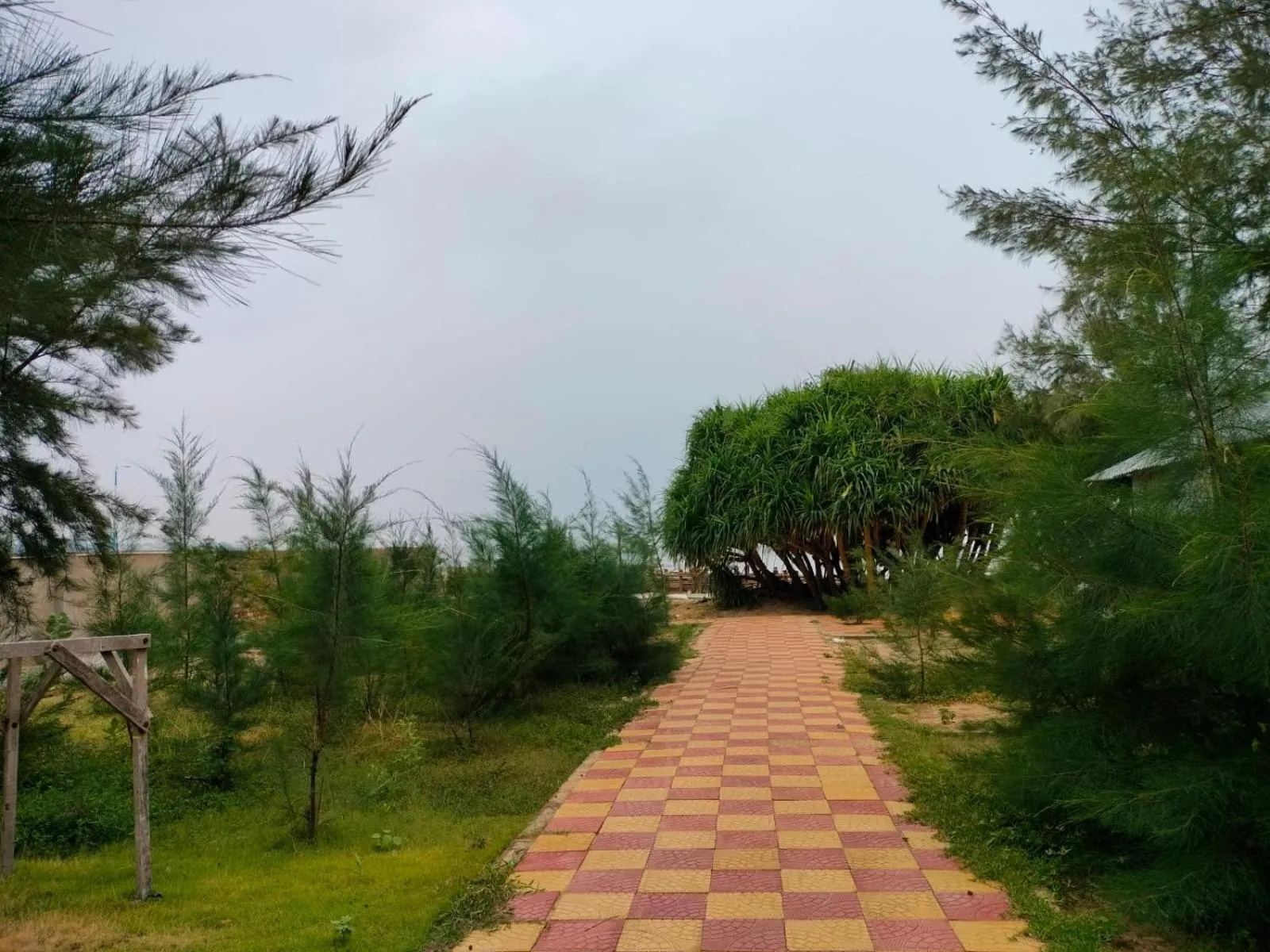 Natural landscape in Sea Wave Beach Resort