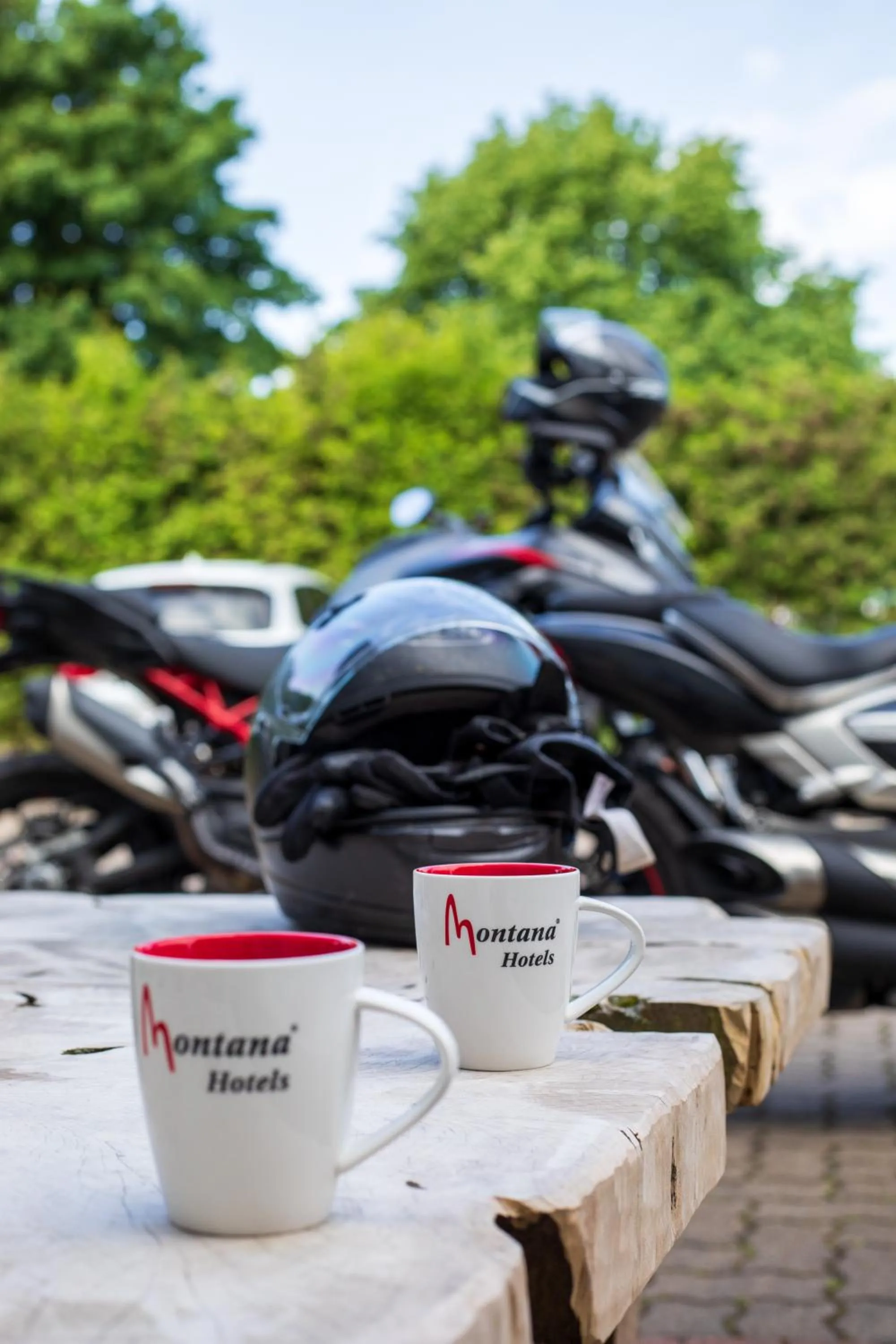 Hotel Montana Lauenau