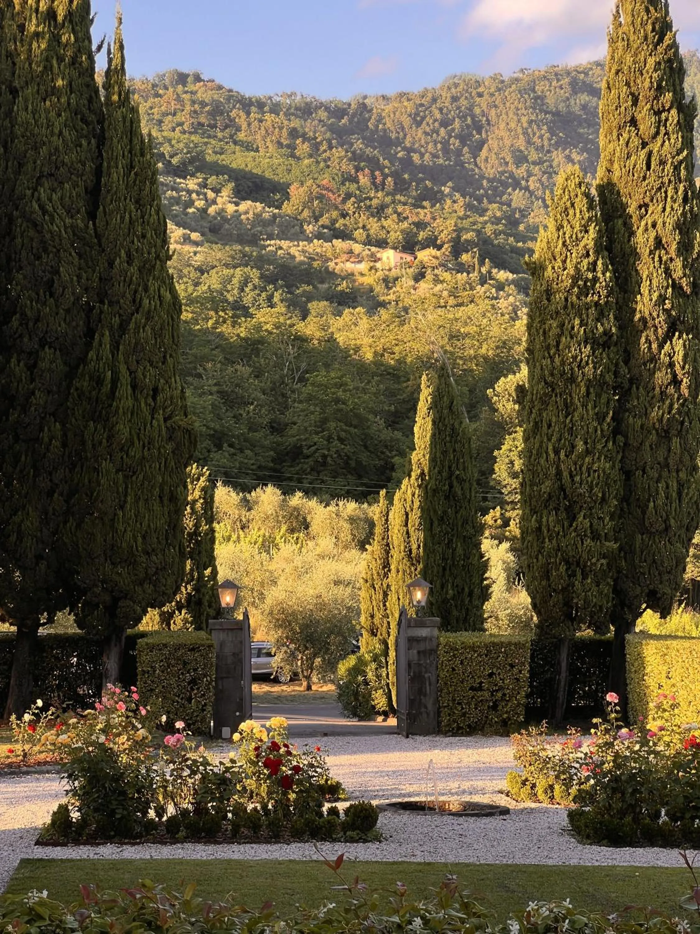 Natural landscape in Tenuta di Tramonte Boutique Hotel