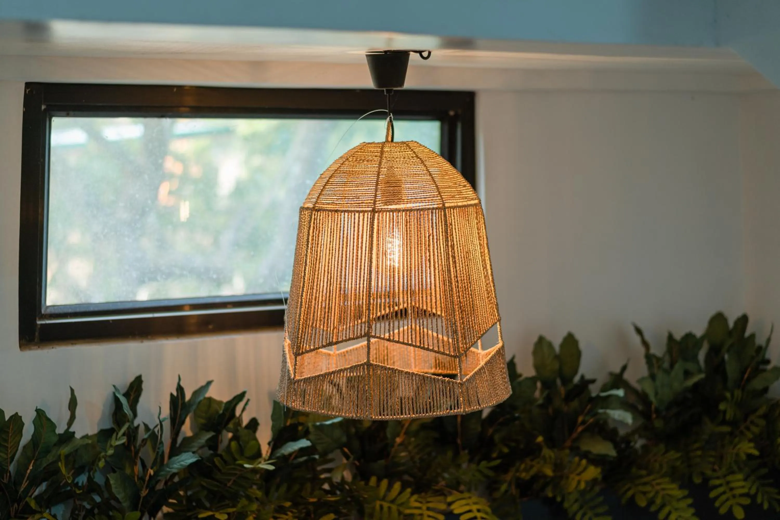 Island Wanderers Inn