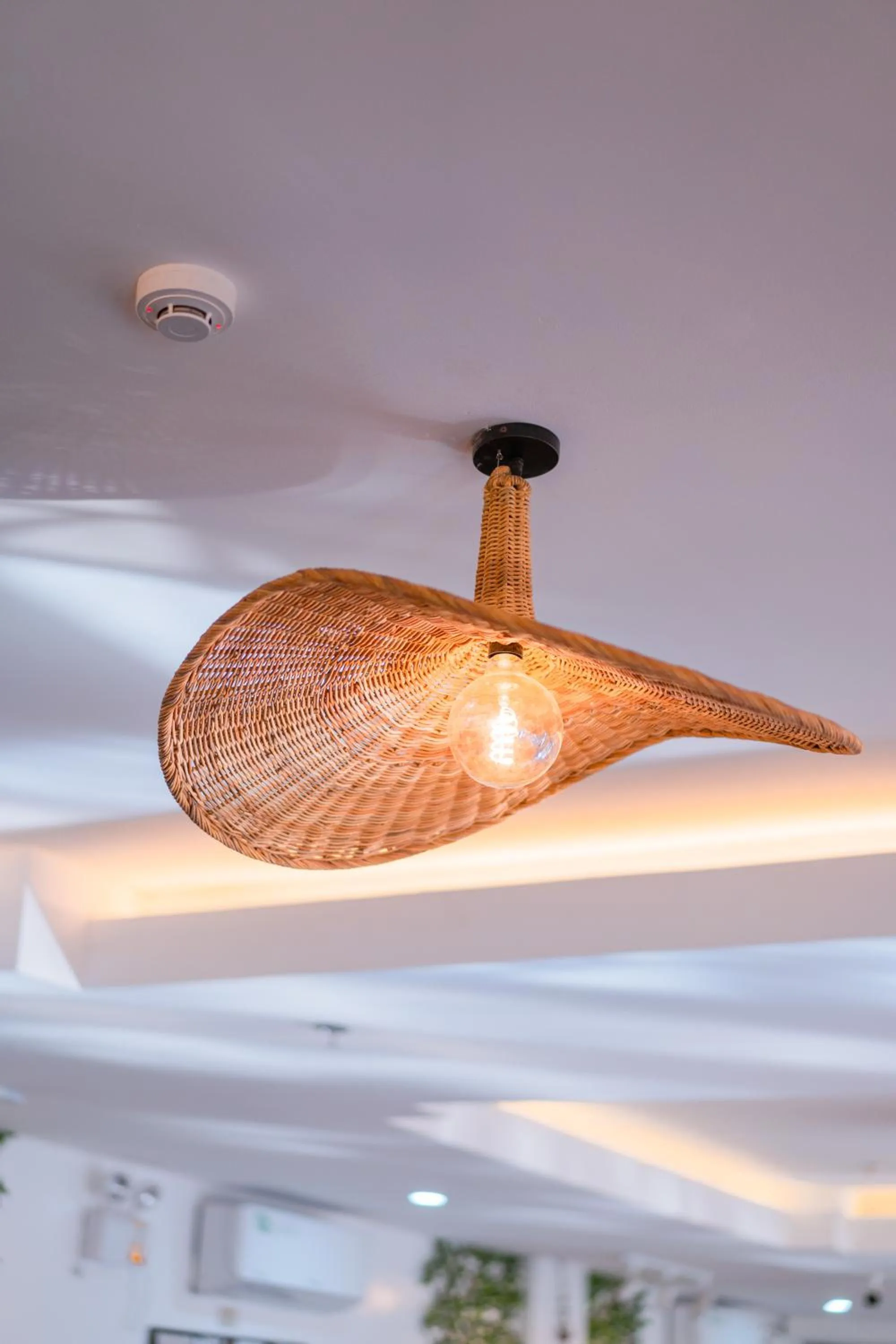 Island Wanderers Inn