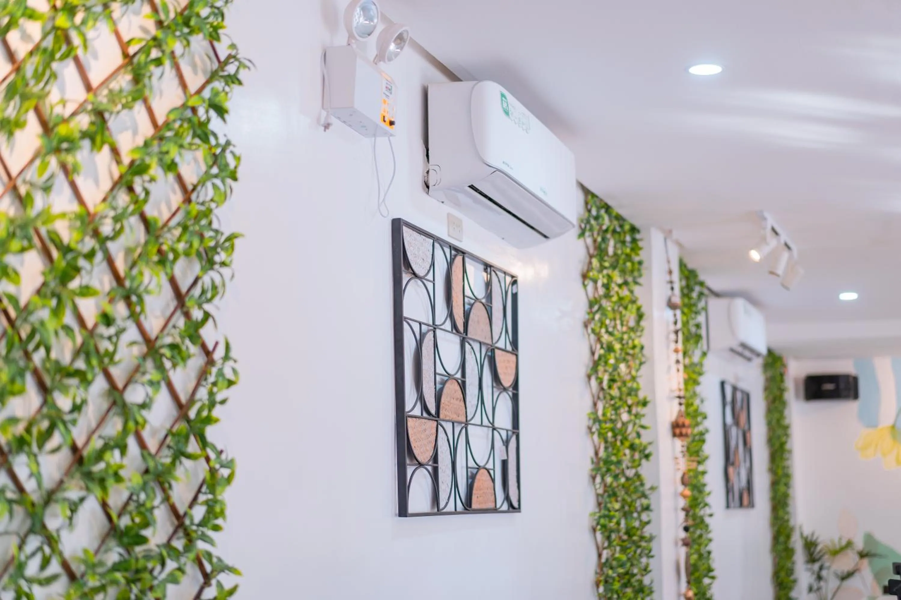 Island Wanderers Inn