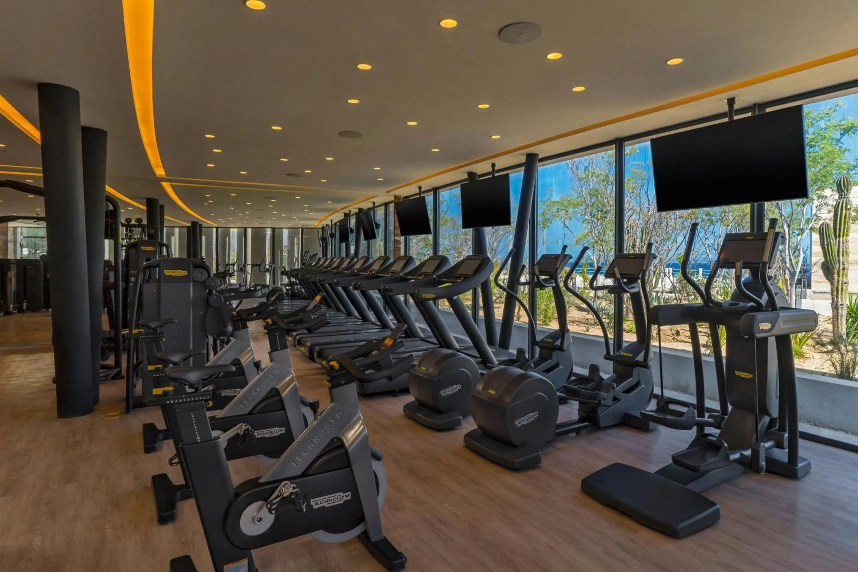 Fitness centre/facilities in The Residences at Solaz, a Luxury Collection Resort, Los Cabos