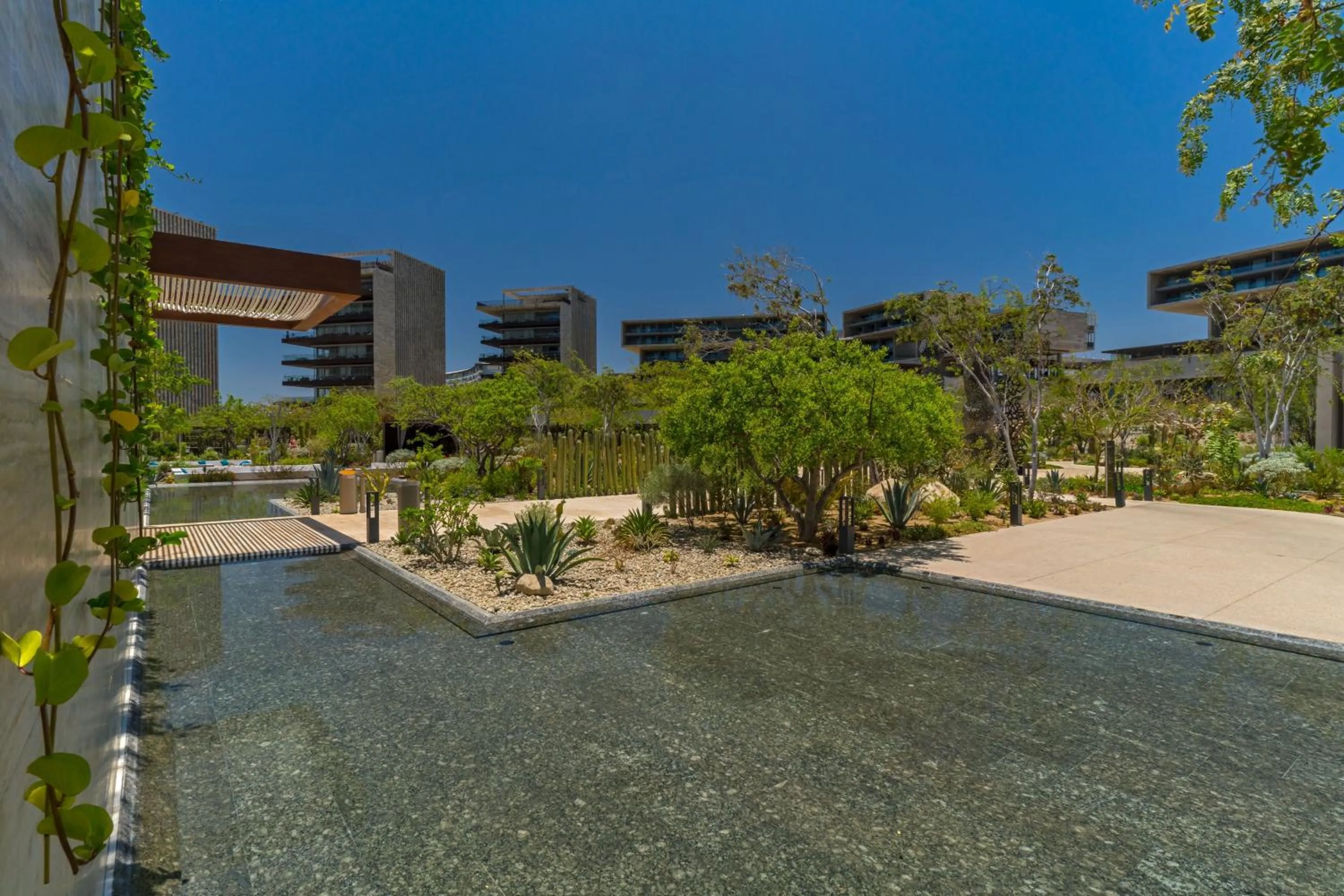 Restaurant/places to eat in The Residences at Solaz, a Luxury Collection Resort, Los Cabos