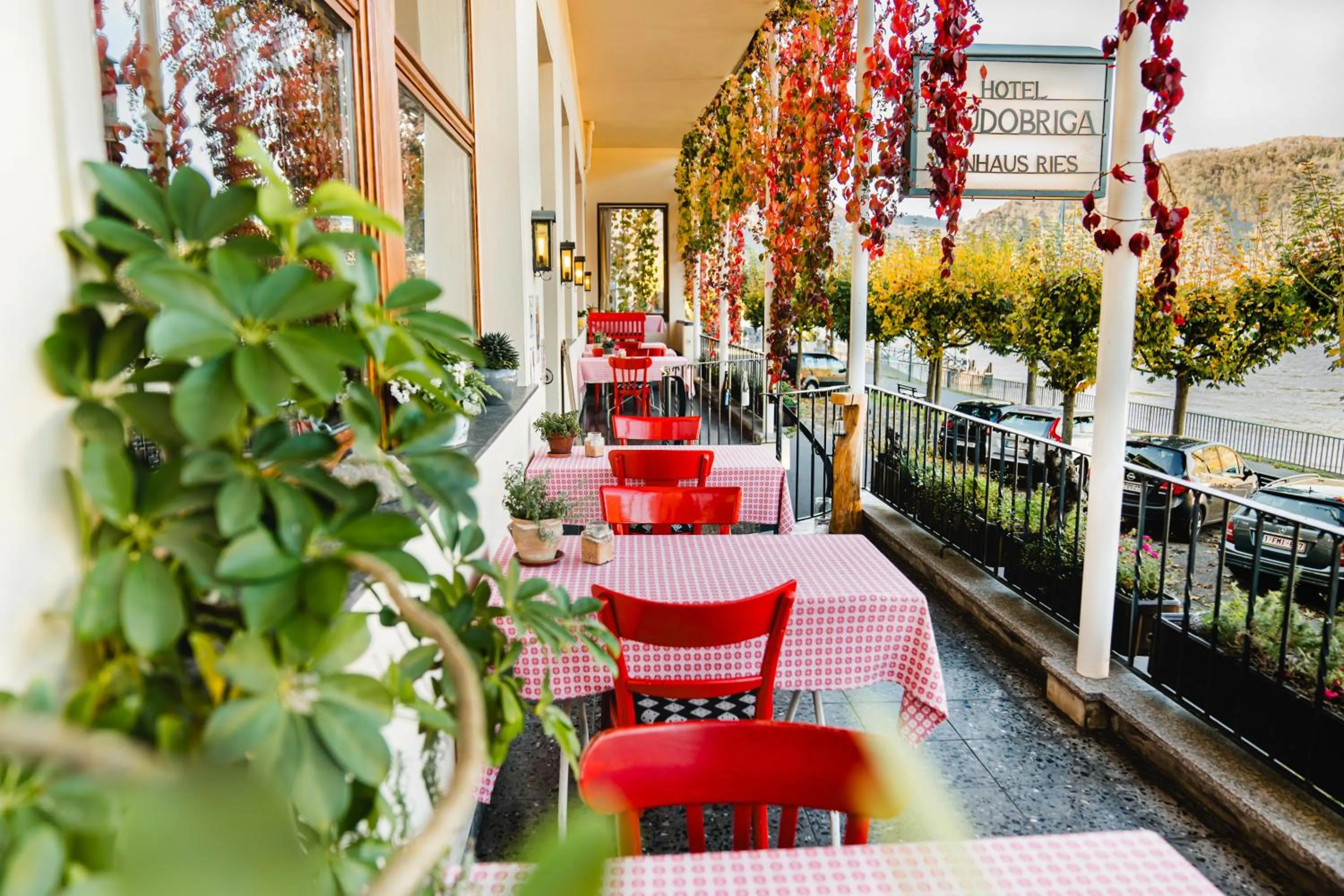 Restaurant/places to eat in Baudobriga Rheinhotel