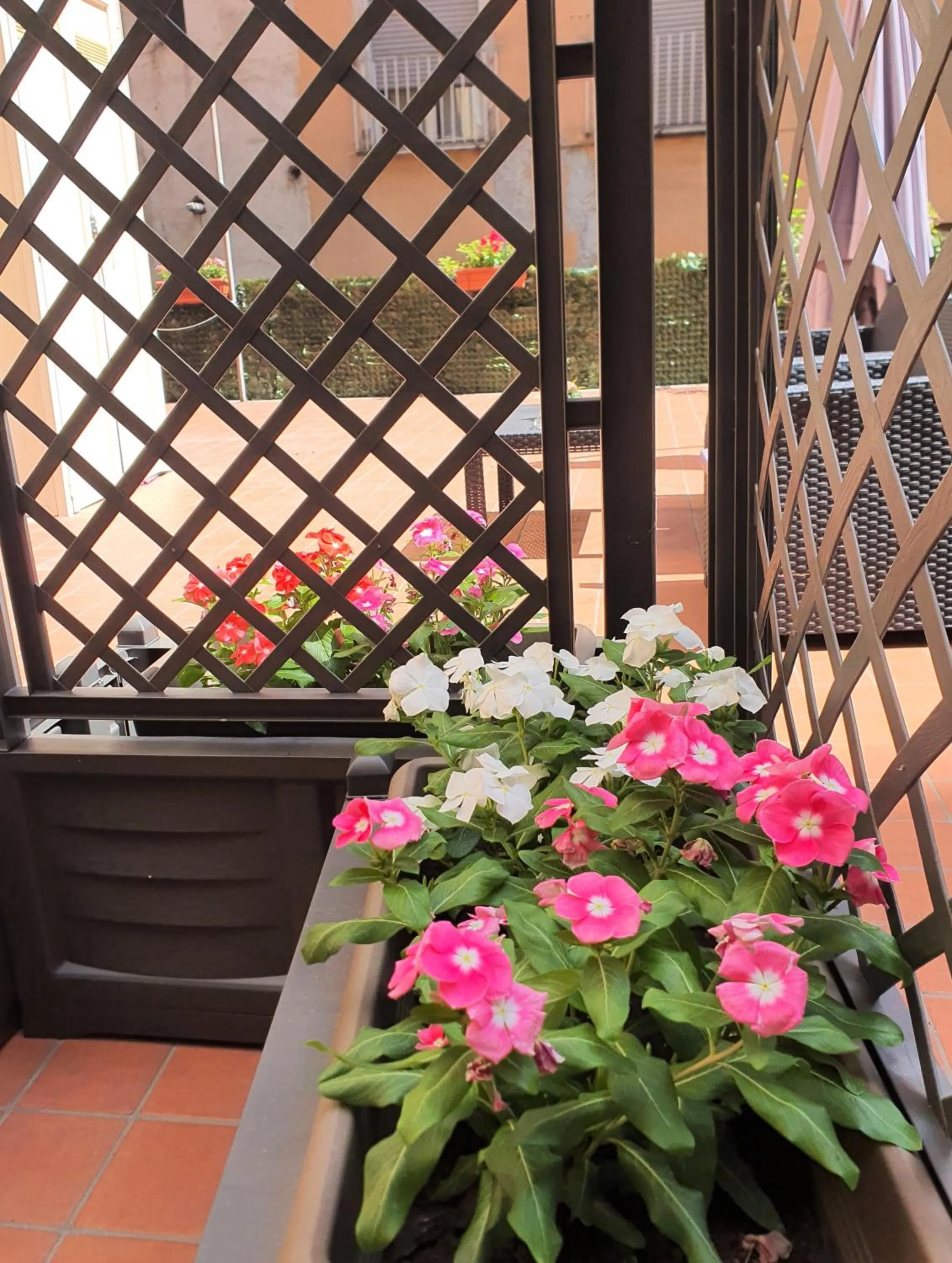 Decorative detail in Gaisa Naples - Bed and Breakfast