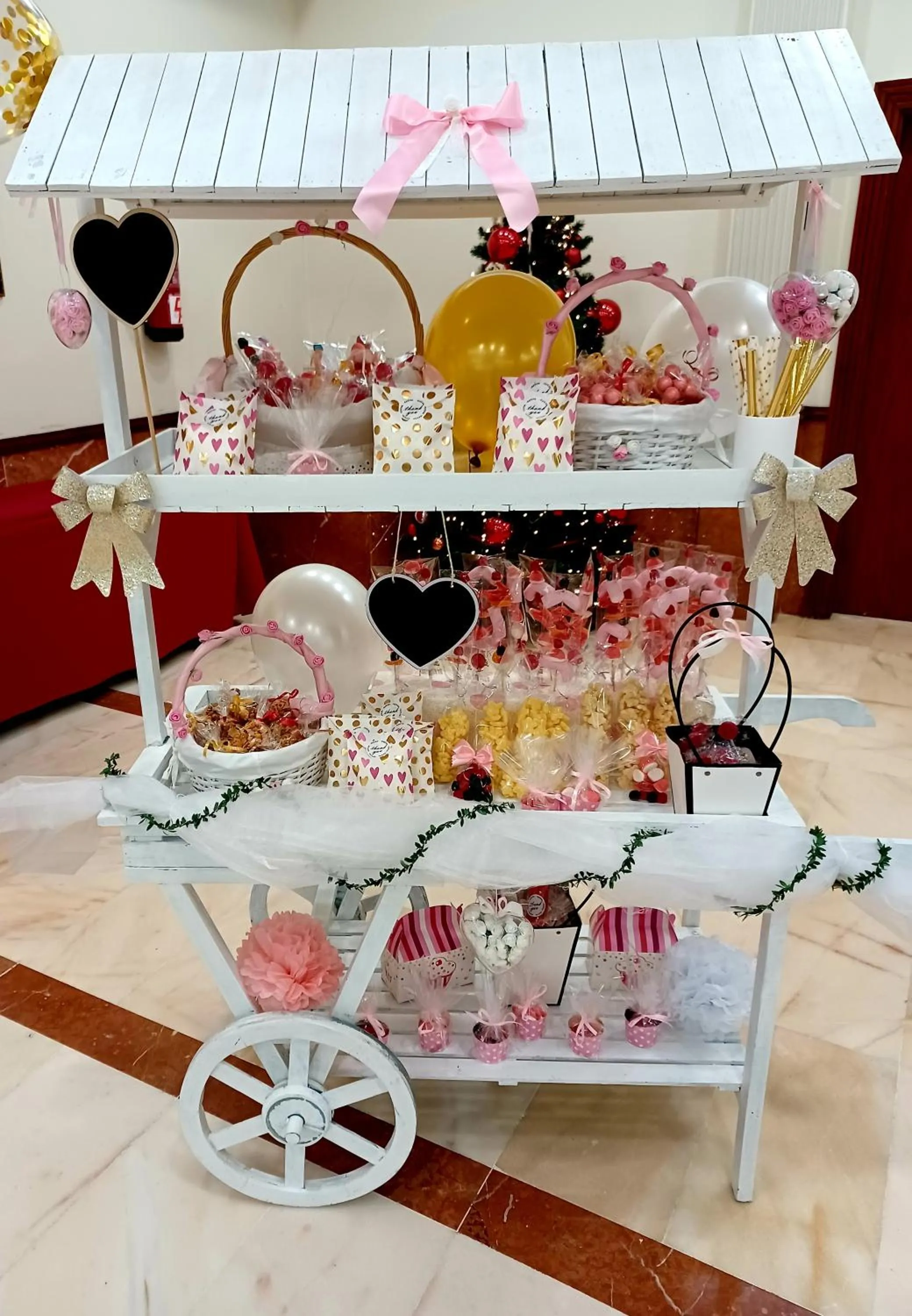 Banquet/Function facilities in Hotel Santa Cecilia