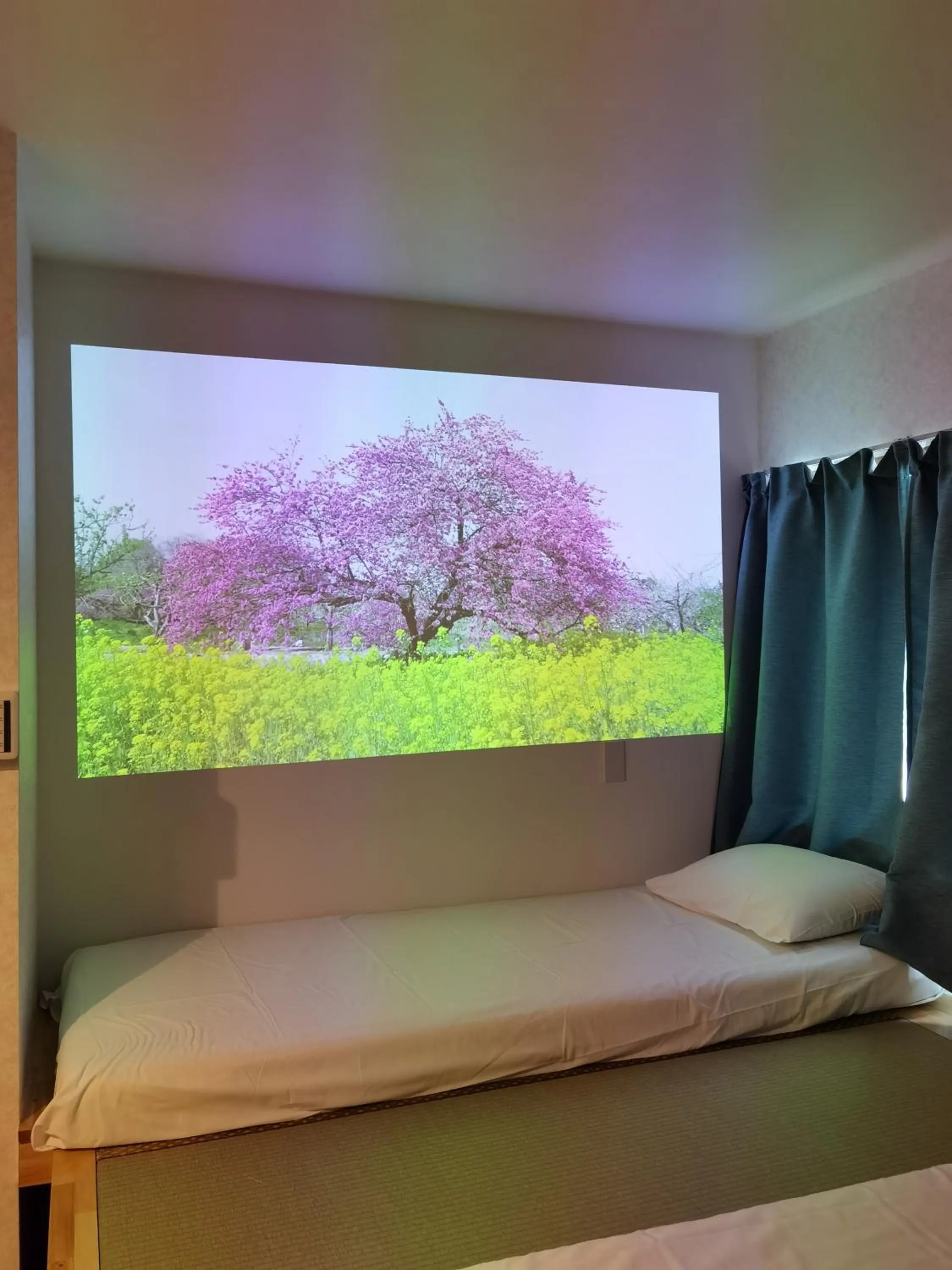 TV and multimedia, Bed in Hostel Belle Via Tokyo