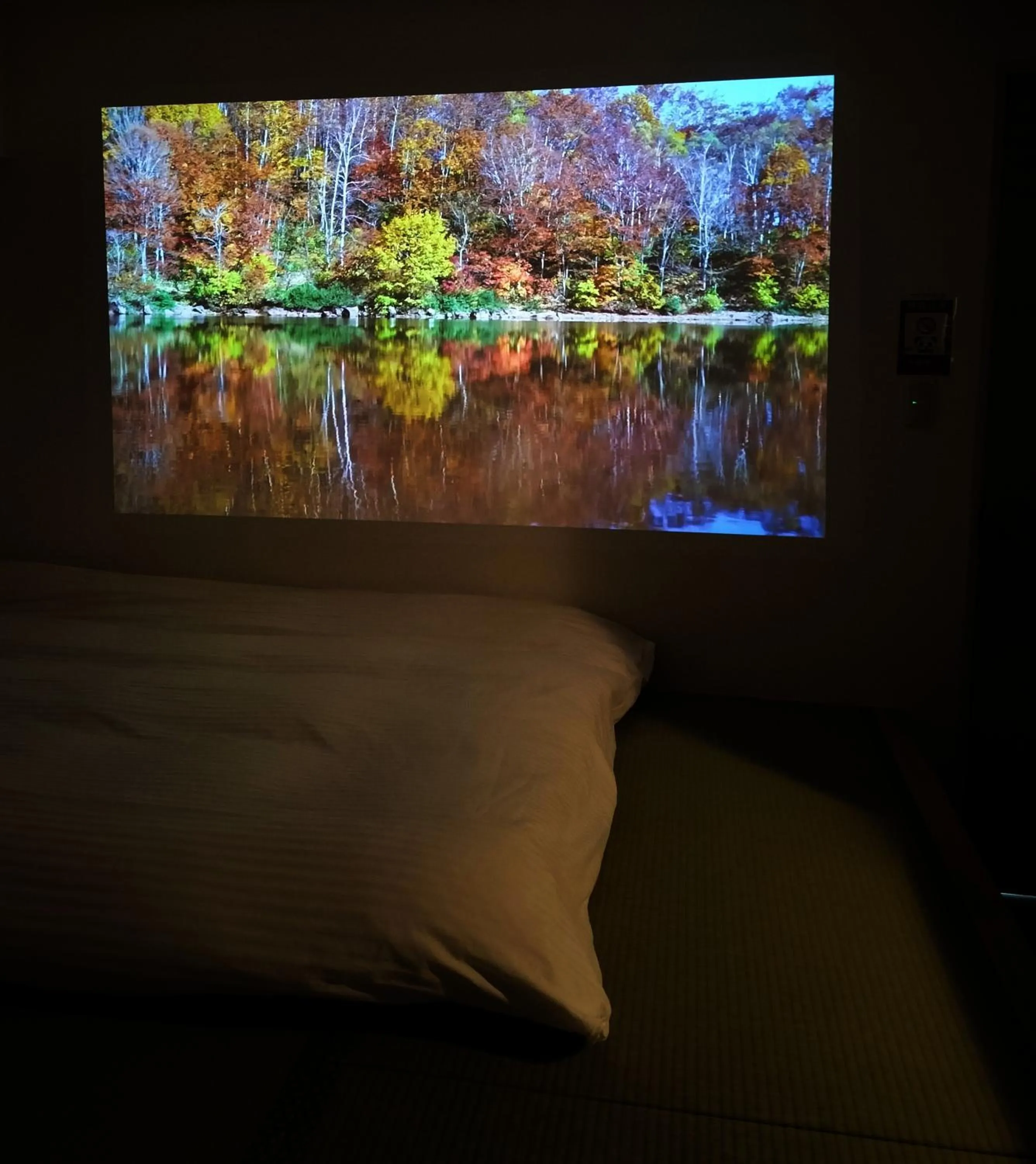 TV and multimedia in Hostel Belle Via Tokyo