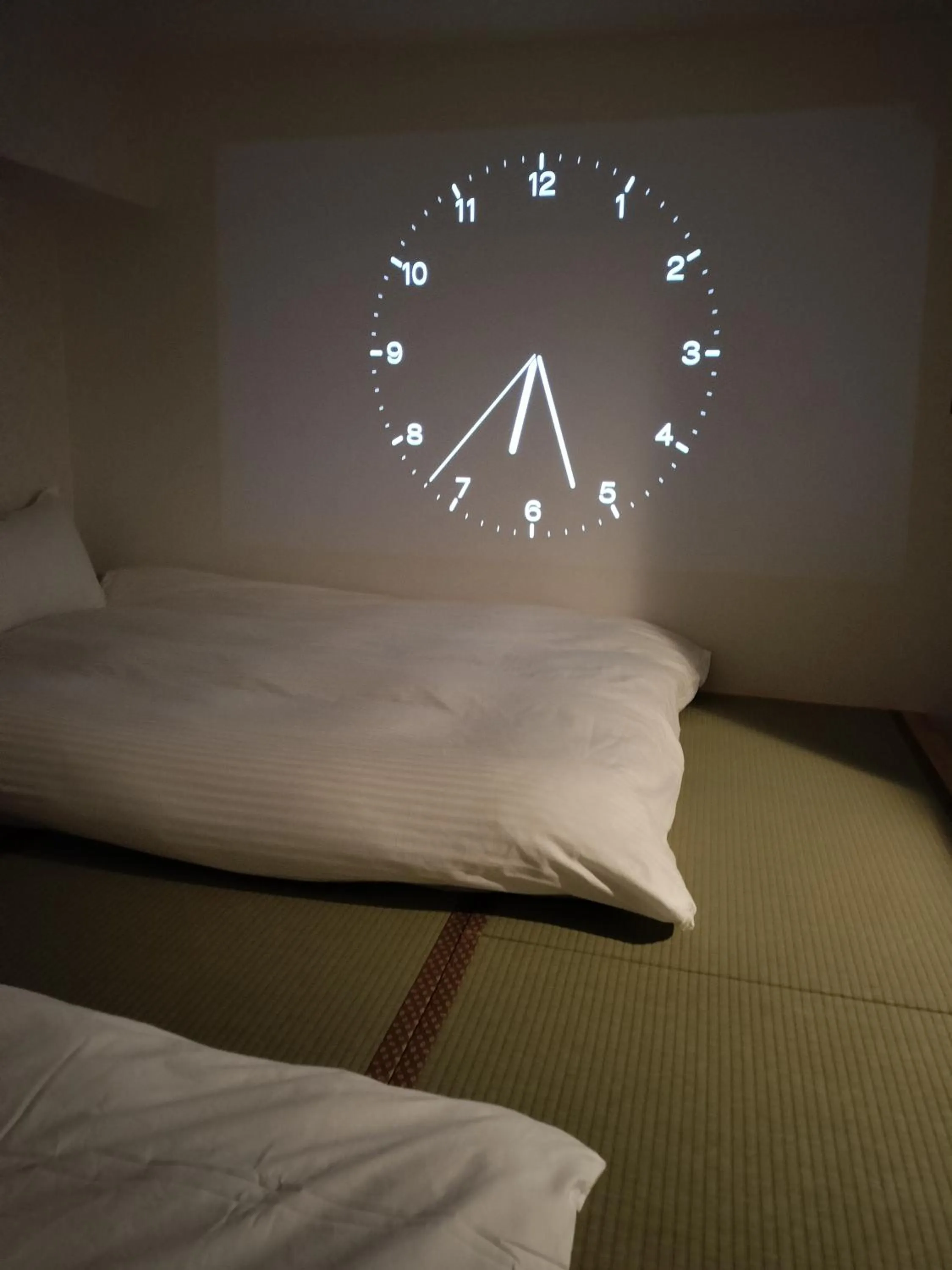 Photo of the whole room, Bed in Hostel Belle Via Tokyo