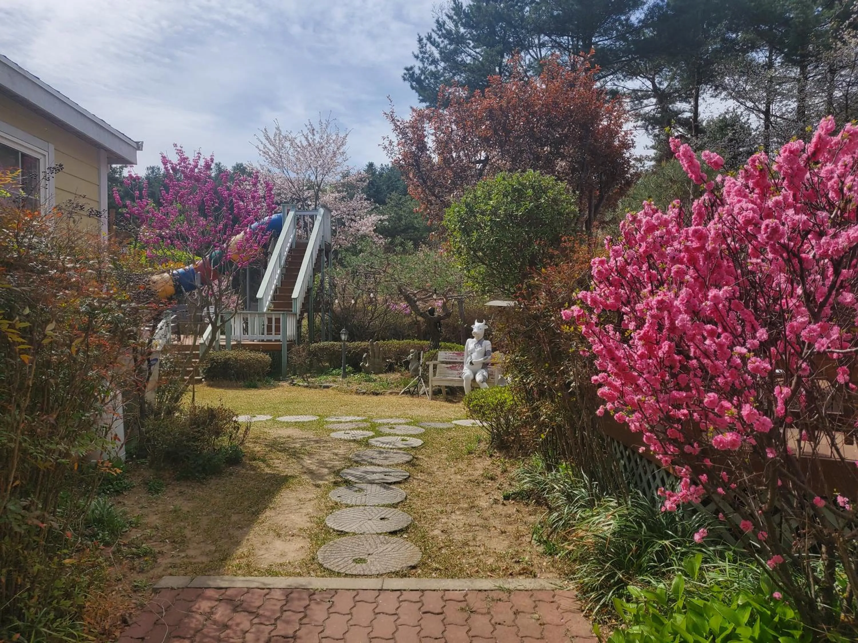 Olive Vanilla Pension