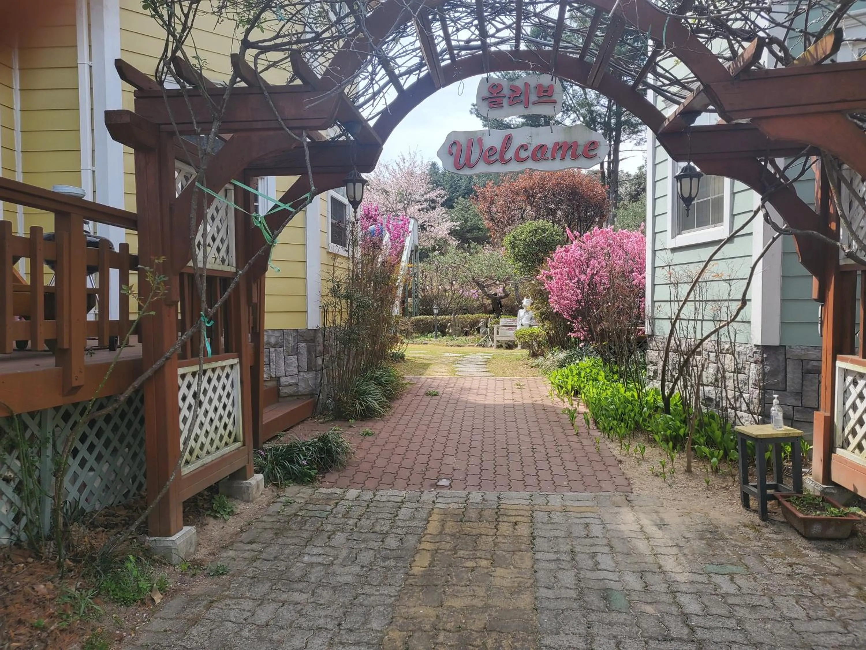 Olive Vanilla Pension