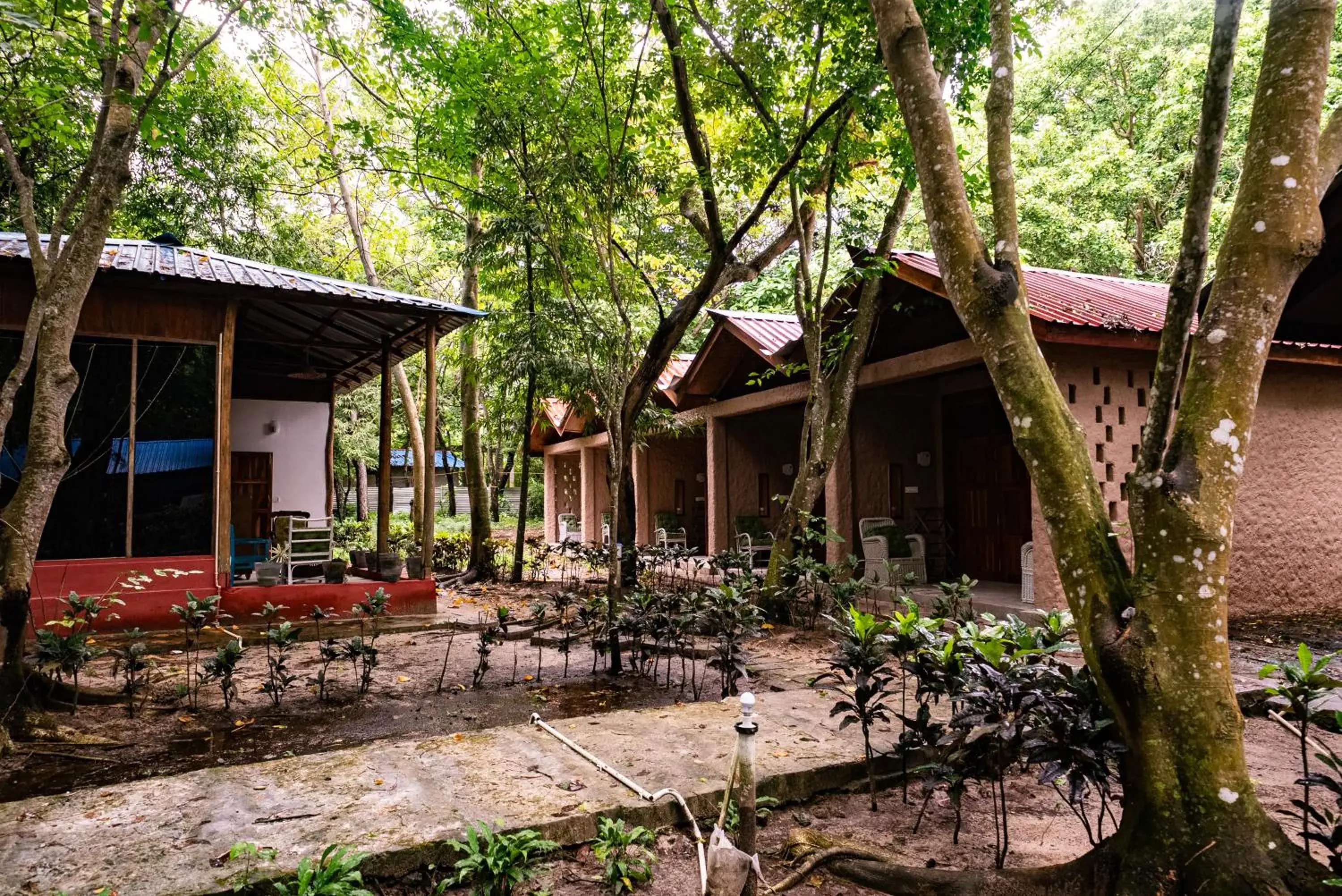 The DIVEResort and Dancing Dugong Cafe The DIVEResort and Dancing Dugong Cafe