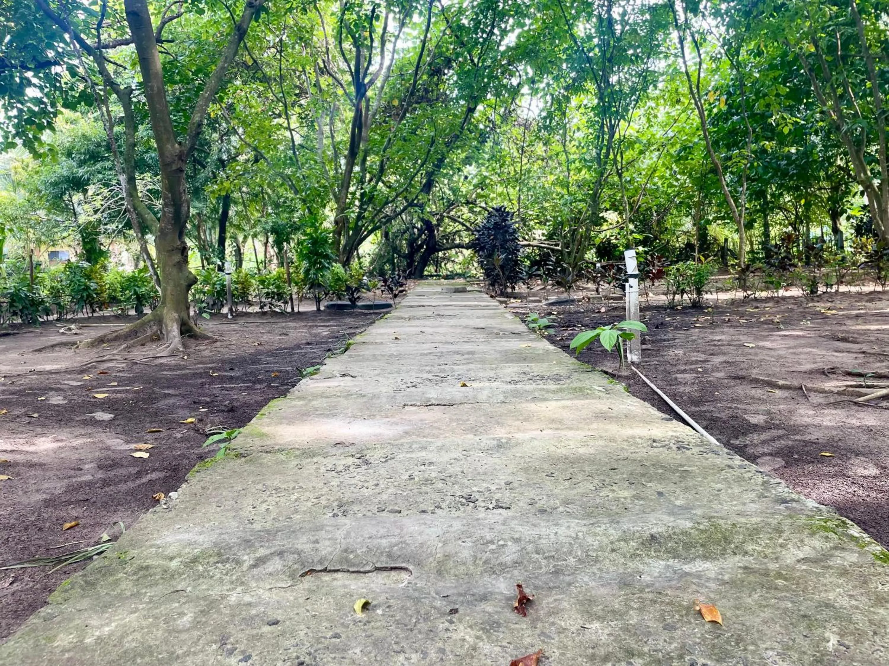 Spring in The DIVEResort and Dancing Dugong Cafe