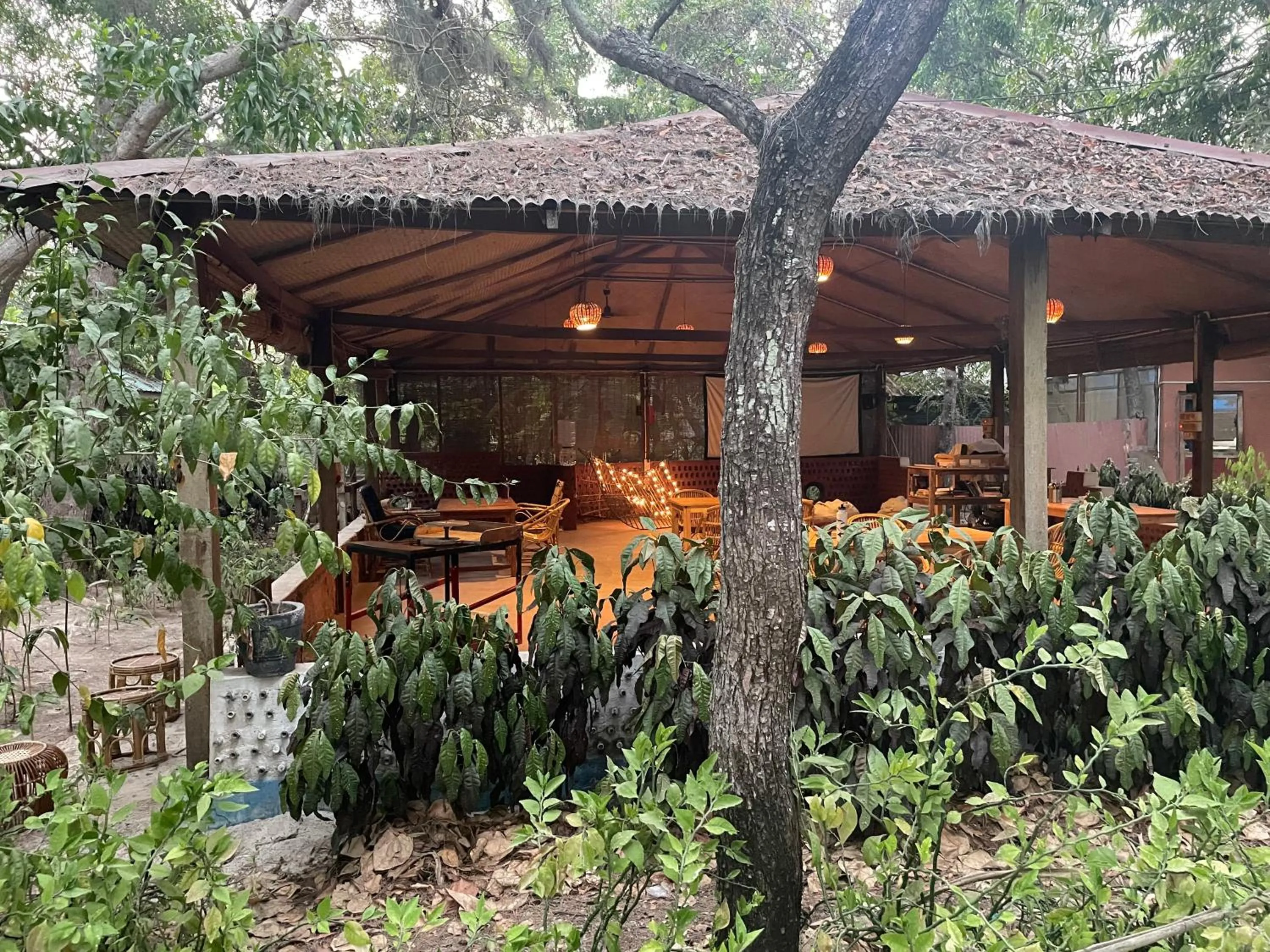 Property building in The DIVEResort and Dancing Dugong Cafe